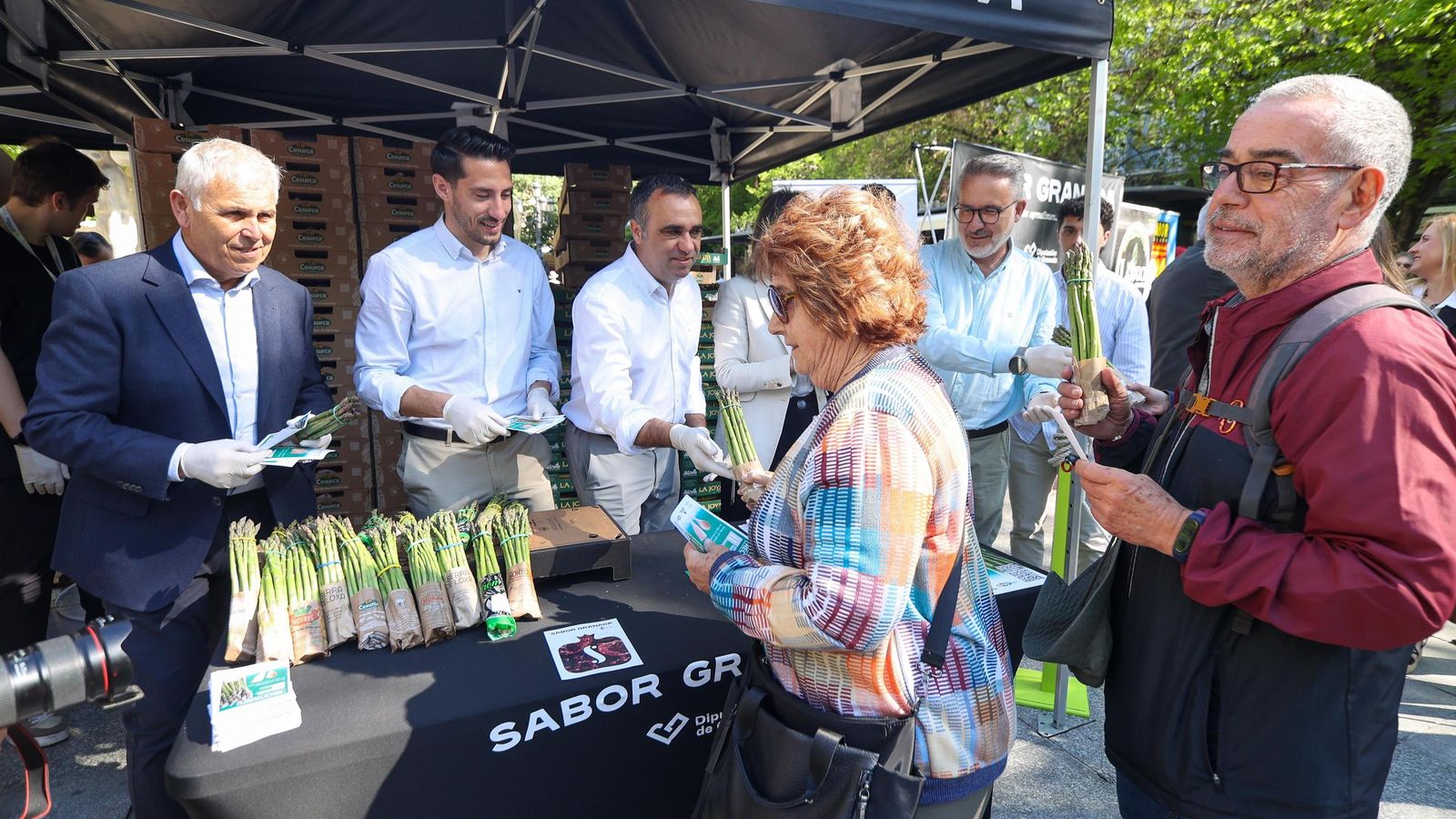 La acción ha sido coordinada por la Diputación de Granada y por la Interprofesional del Espárrago Verde de España