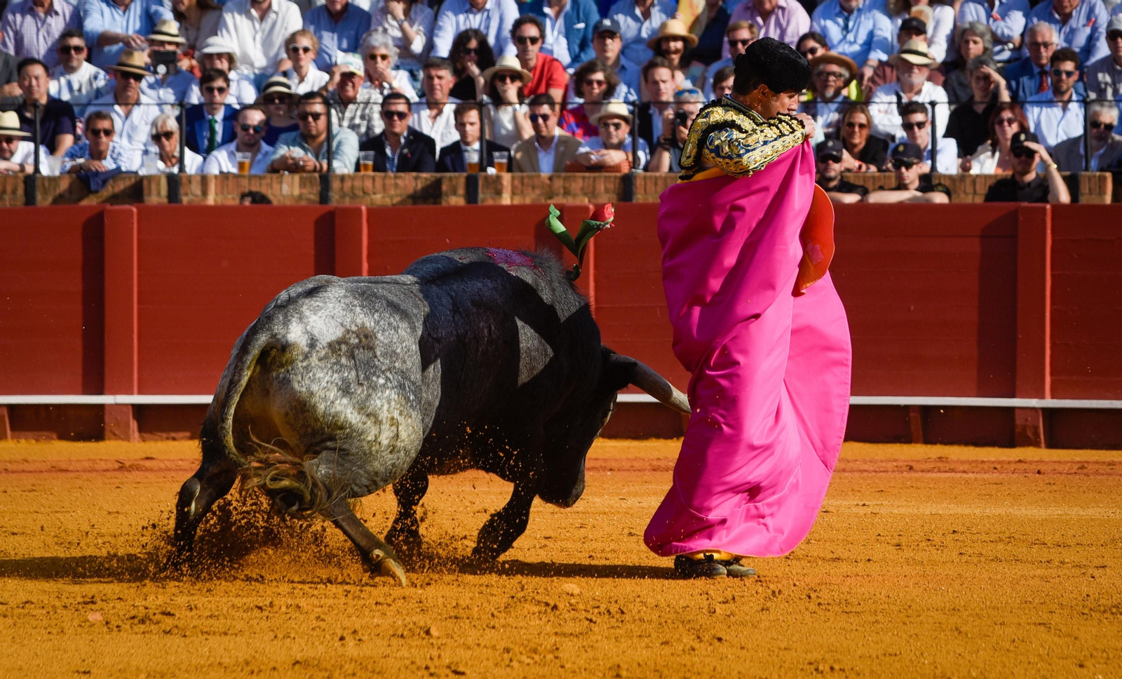 Las imágenes de la corrida de toros de El Fandi, Manuel Escribano y Esaú Fernández