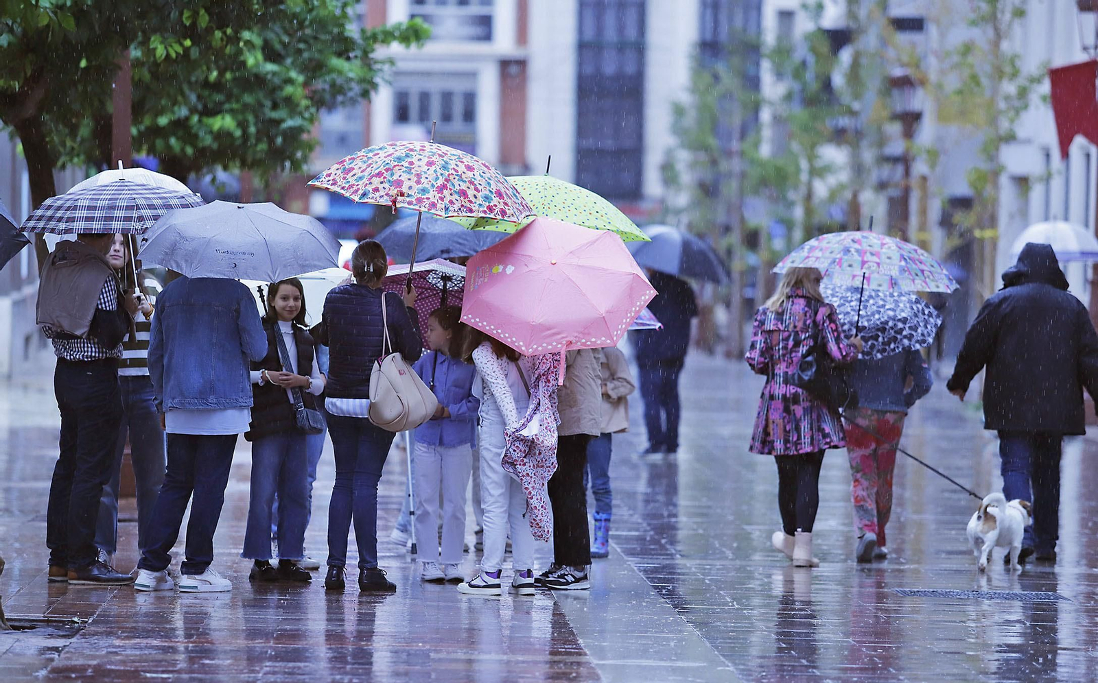 Imágenes de la mañana lluviosa de domingo en Huelva