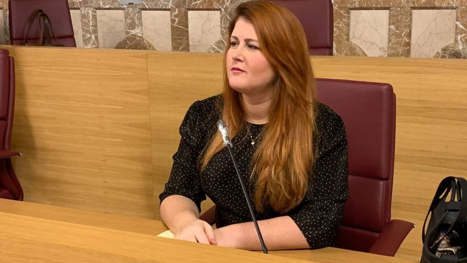 Susana Serrano, portavoz adjunta de Adelante.