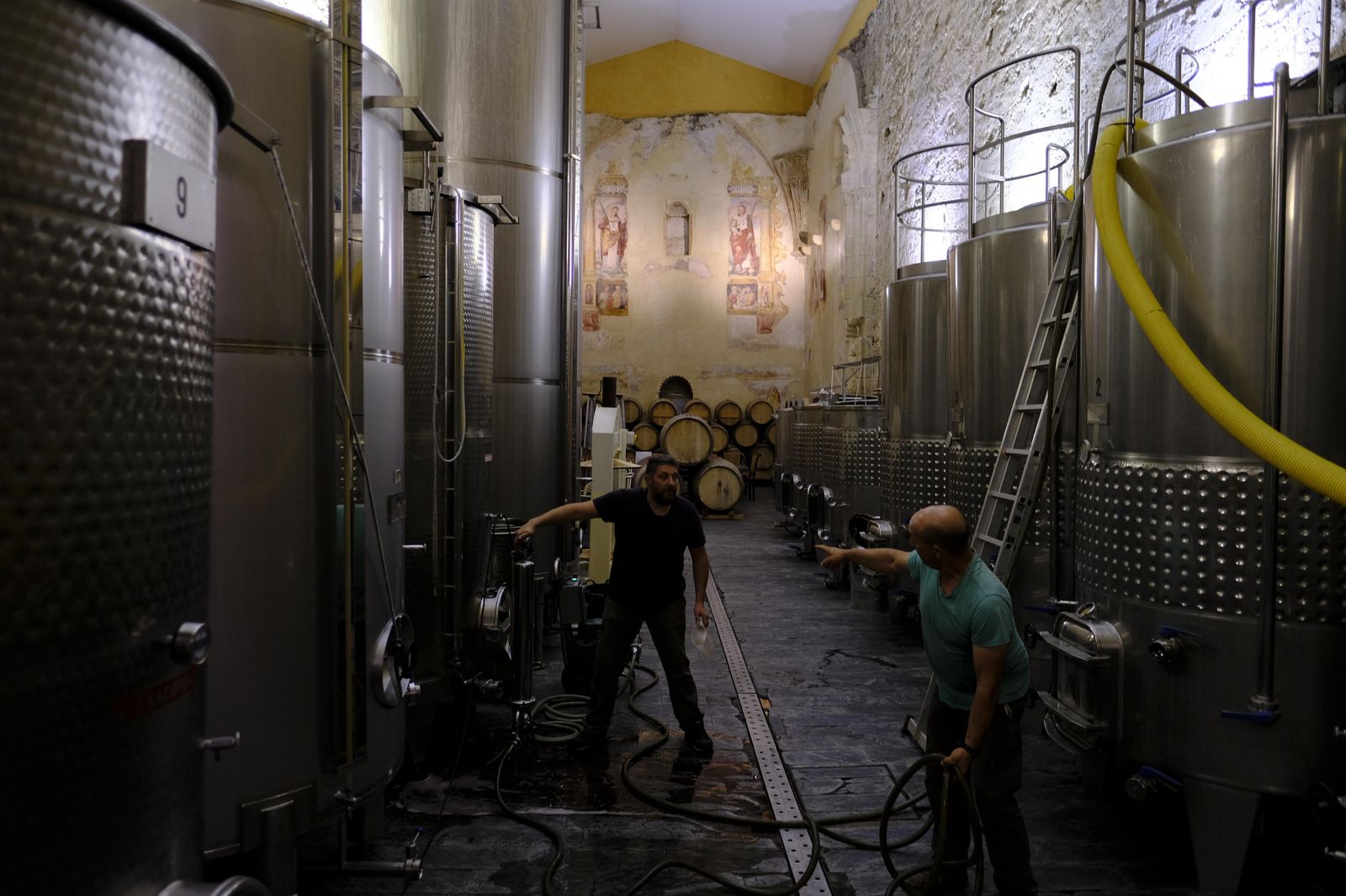 Vendimia nocturna en Ronda, en fotos