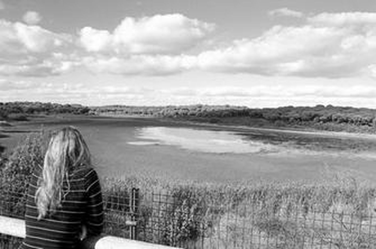 Ecologistas propone retrasar la caza de gansos hasta que llueva