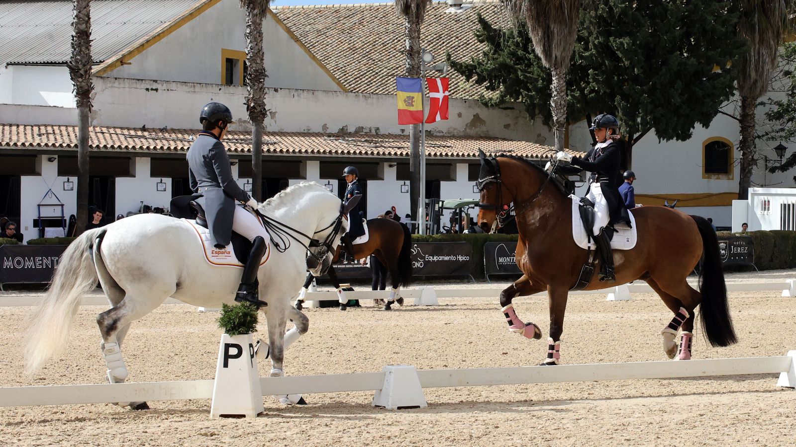 El Concurso Internacional en la Real Escuela Ecuestre, en imágenes