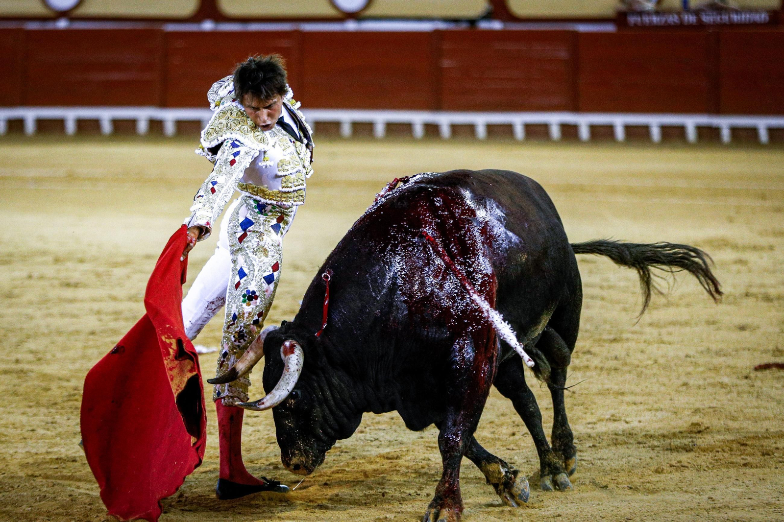 Imágenes de la corrida de toros en El Puerto: Manzanares, Roca Rey y Pablo Aguado