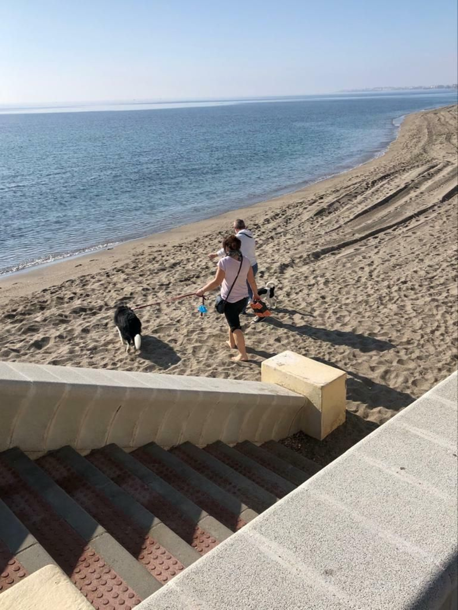 Una pareja baja con dos perros a la playa.