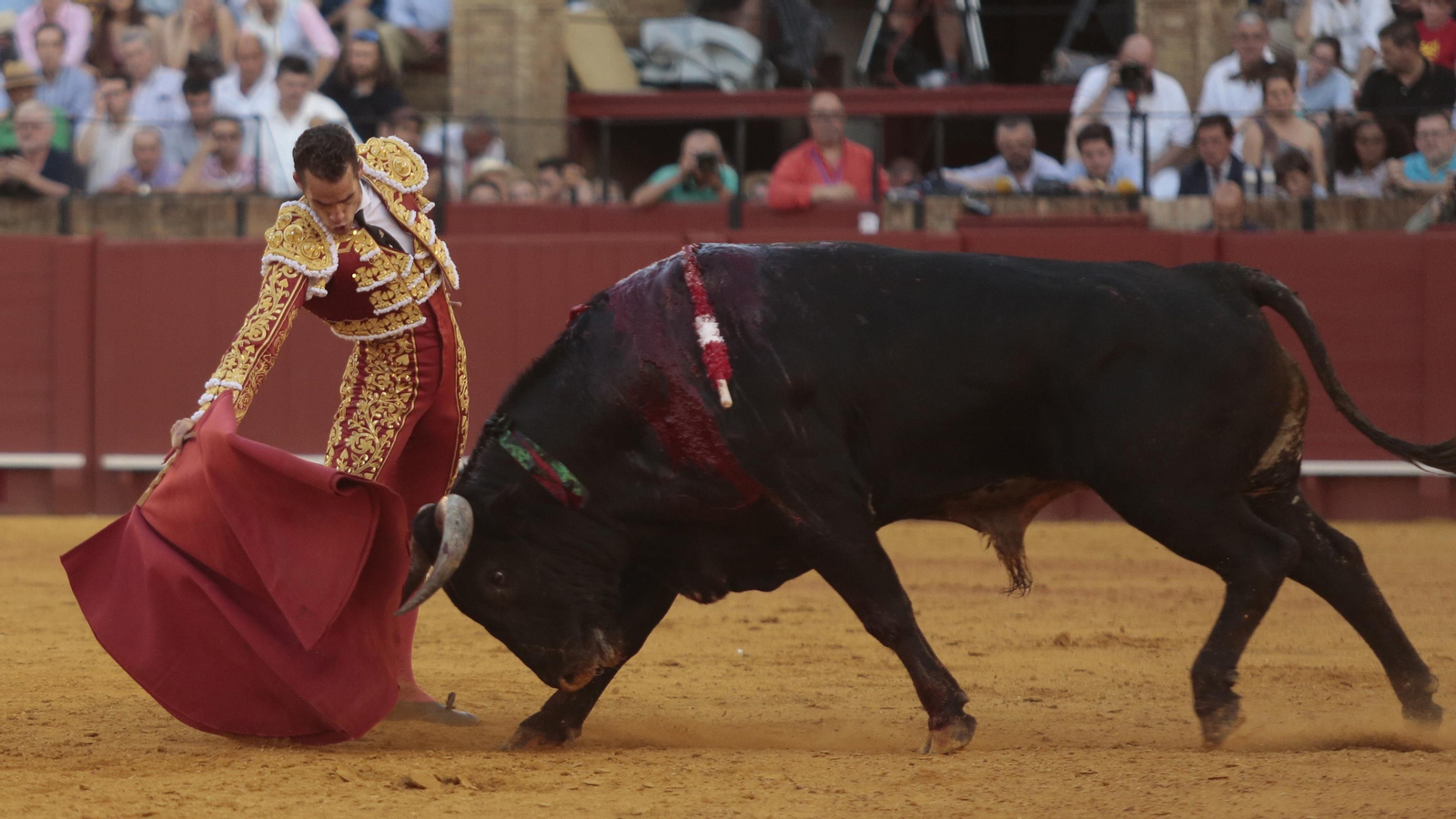 Las imágenes de la corrida de Los Miura