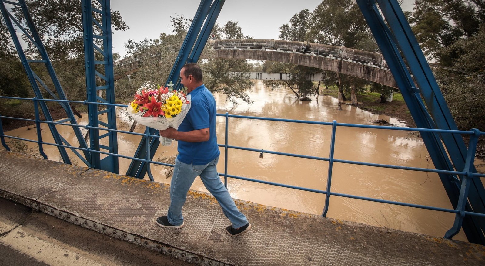 Imágenes de los destrozos tras el paso de la Dana por la campiña de Jerez