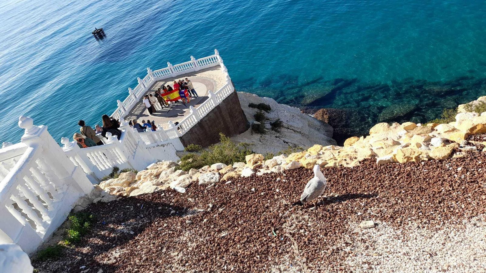 La gaviota observa a la comitiva de los finalistas del Benidorm Fest al desplegarse la bandera