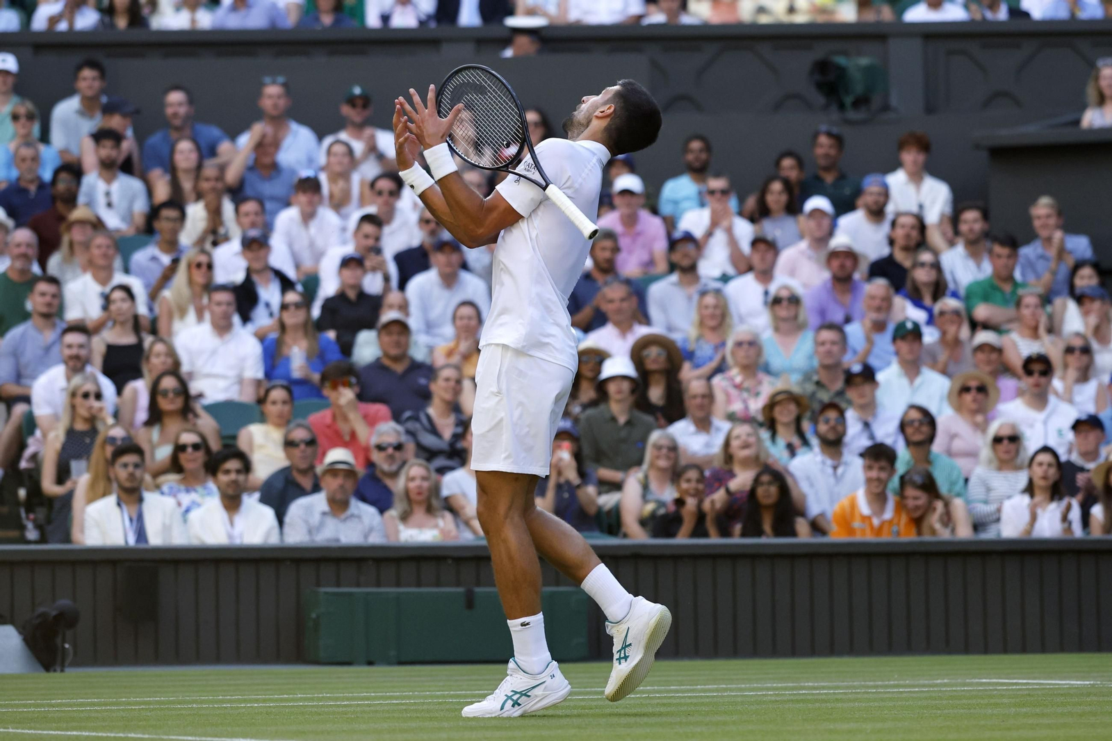 Las fotos de Wimbledon con las clasificaciones de Djokovic y Sinner