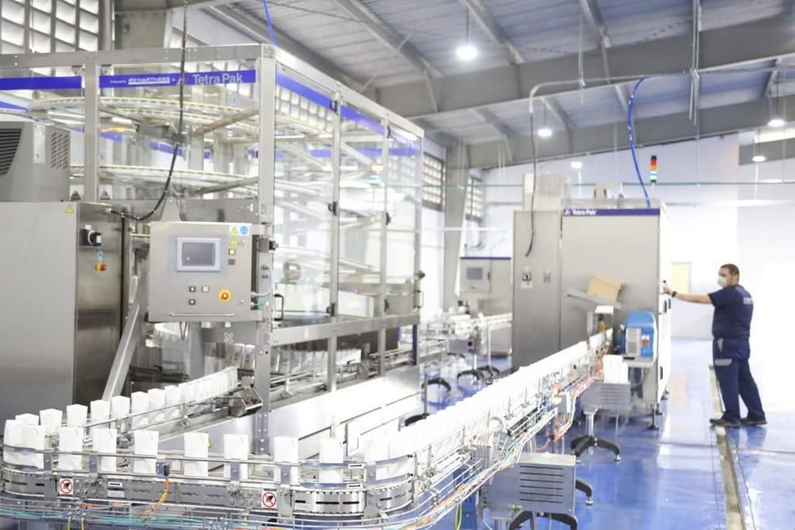 Un operario en la planta de envasado de Ly Company en Alhaurín de la Torre. Un operario en la planta de envasado de Ly Company en Alhaurín de la Torre.