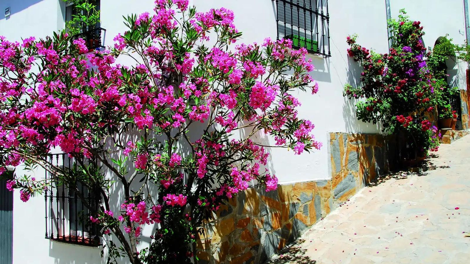 Uno de los coloridos rincones de Jimera de Líbar.