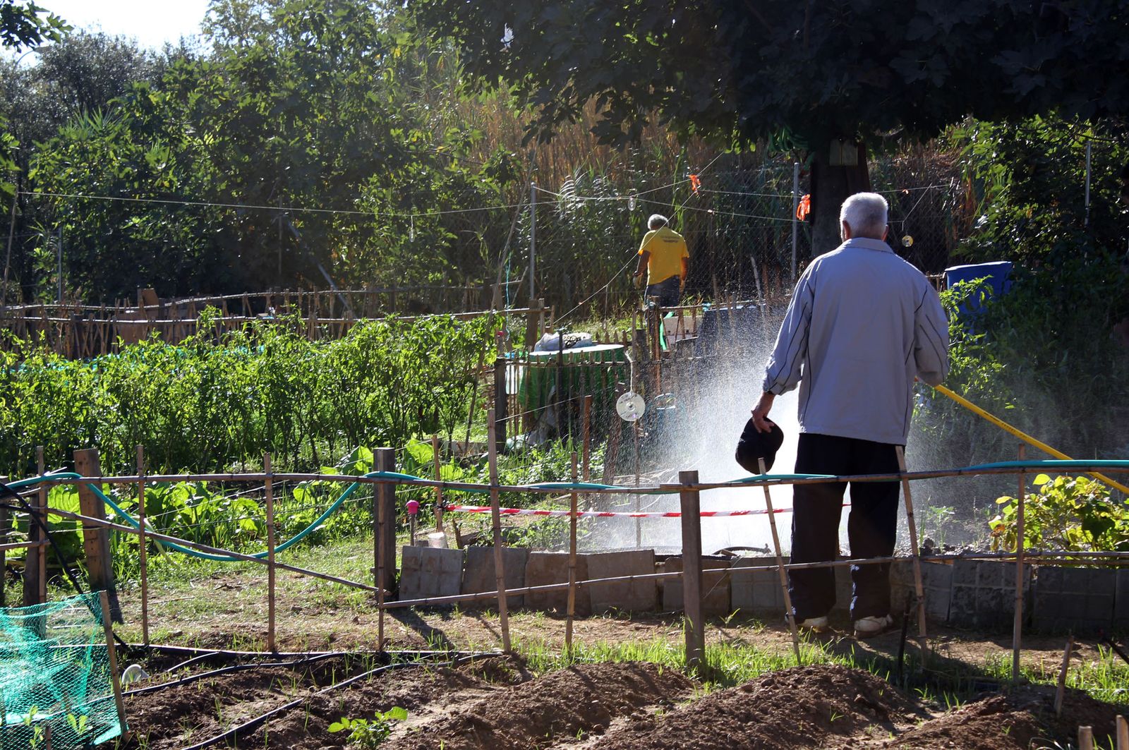Imagen de archivo de un huerto urbano.
