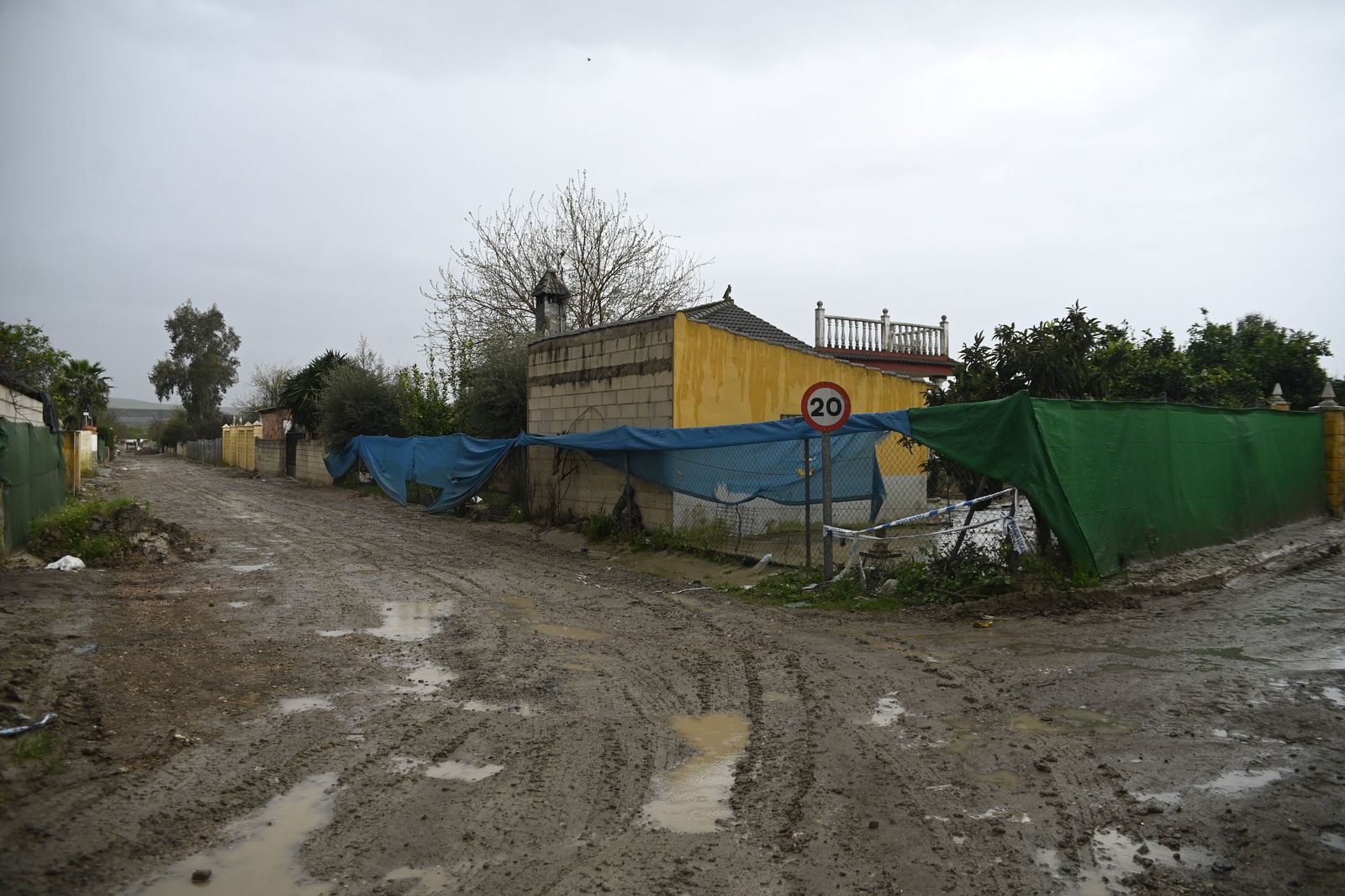 Parcelas de Guadalvalle siguen anegadas por el barro un mes después de las inundaciones