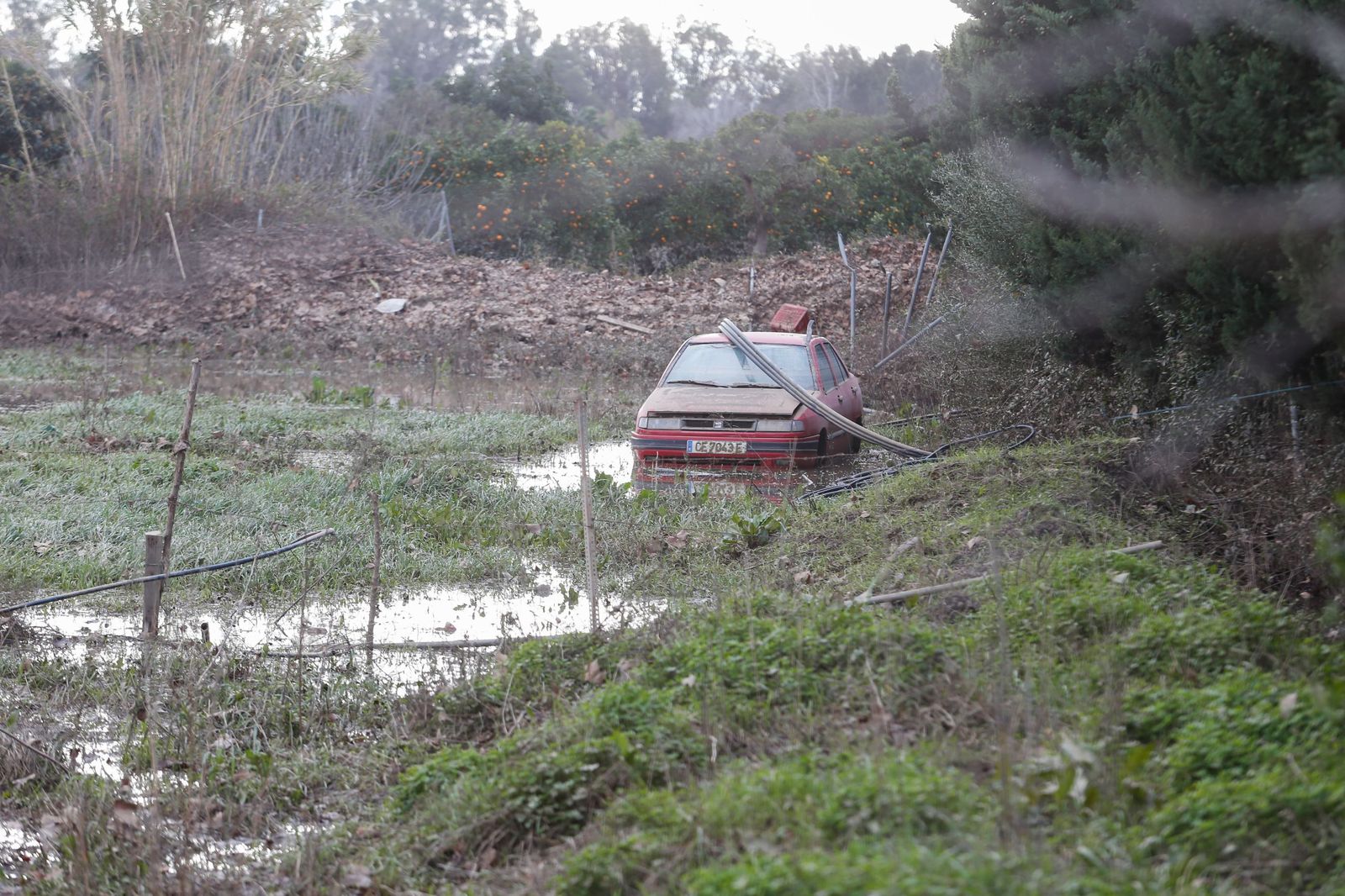 Fotos de las consecuencias de la borrasca Francis en Tesorillo y Jimena