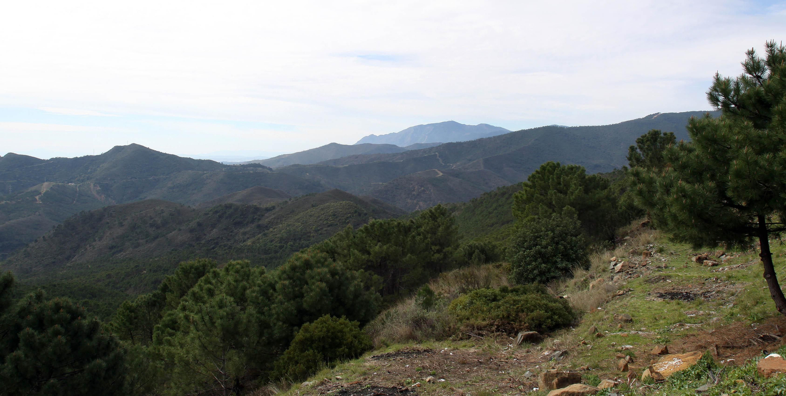 Paisaje de la Sierra Bermeja.