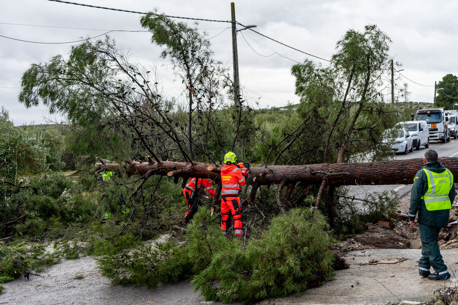 Así queda Monte Lope Álvarez después de la tromba de agua caída