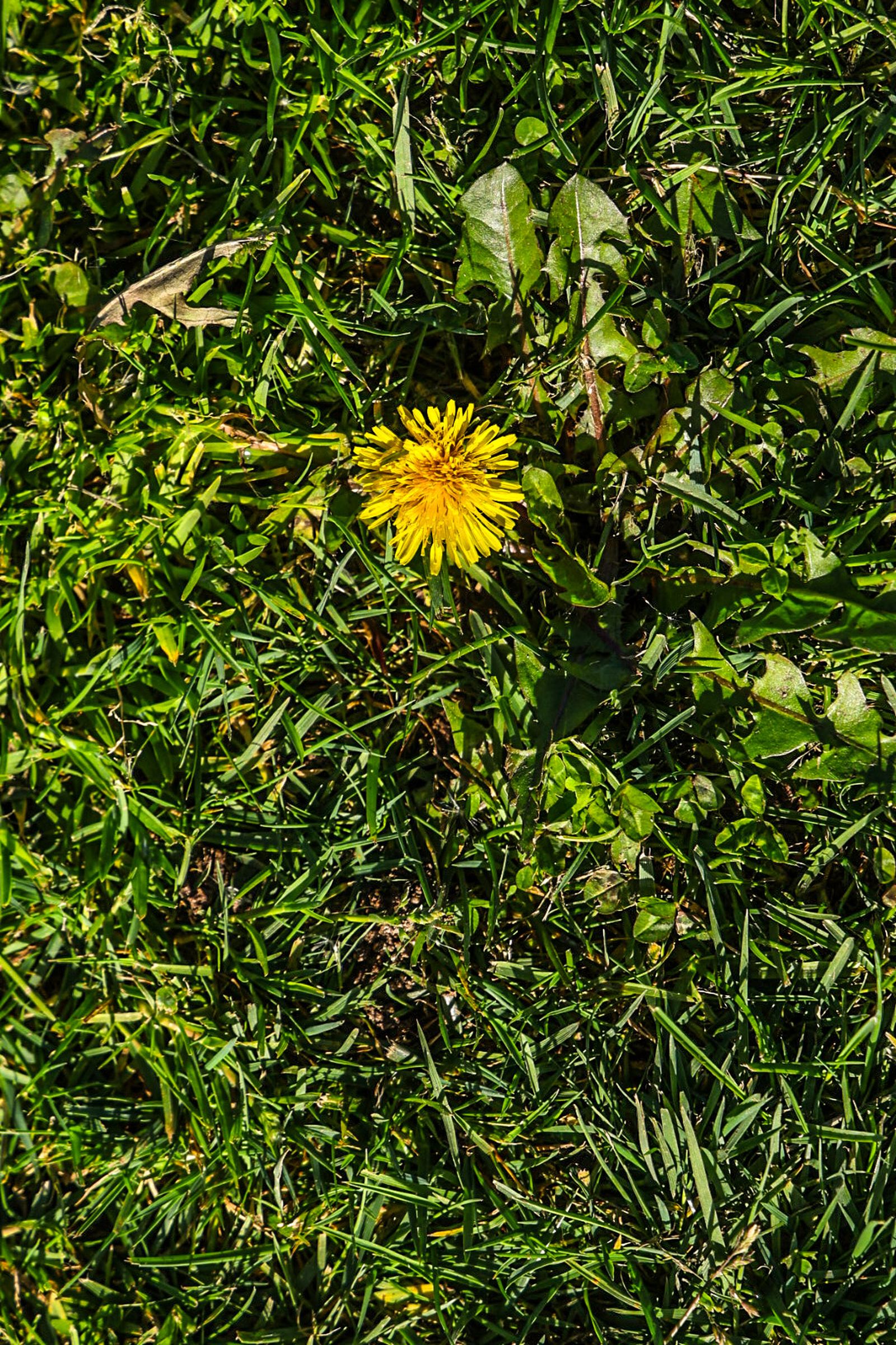 Fotografías de ambiente de la fría mañana en la ciudad