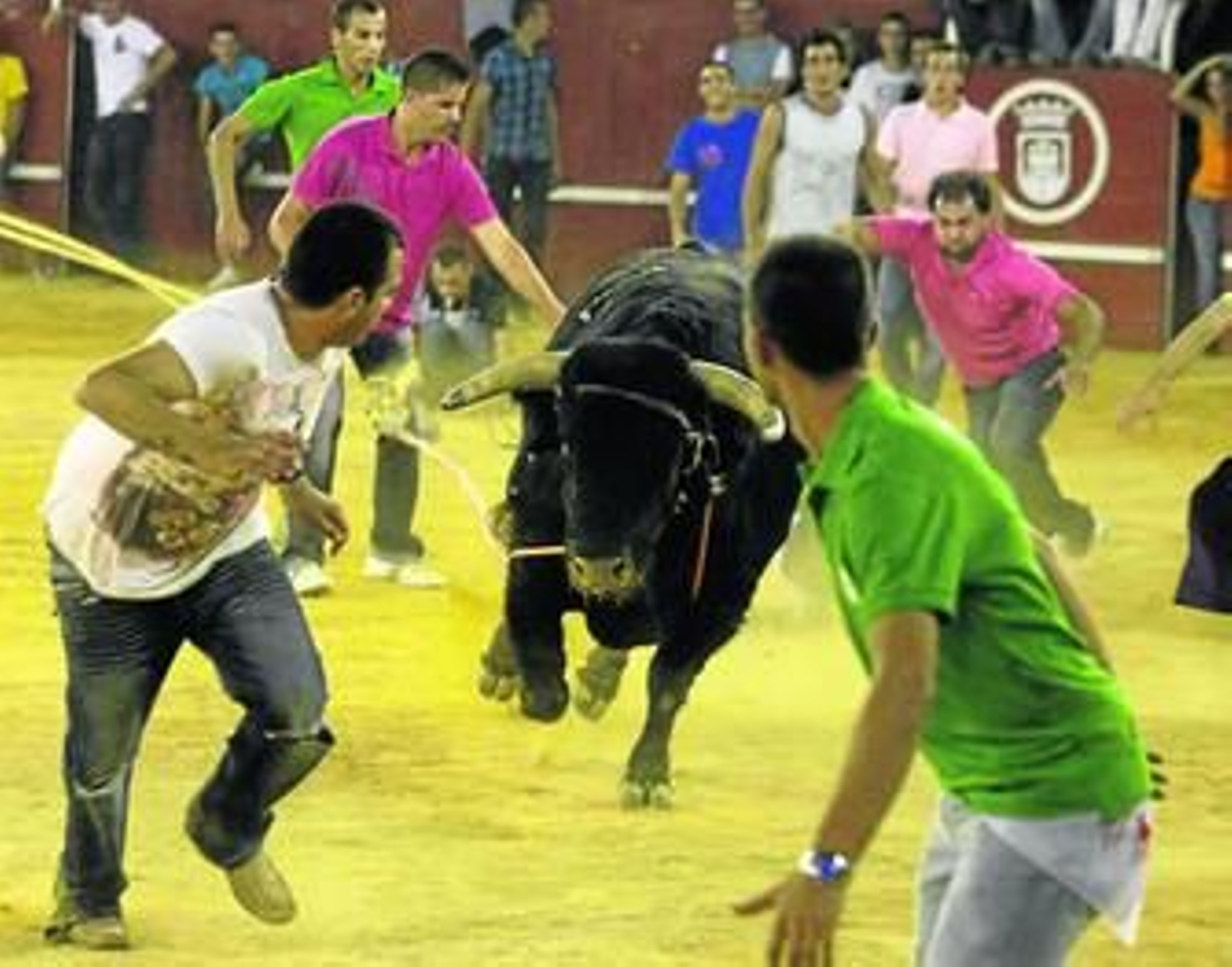 Varios mozos corren delante de Empaquetado, el Toro del Aguardiente, en la plaza de toros de San Roque, ayer por la mañana.
