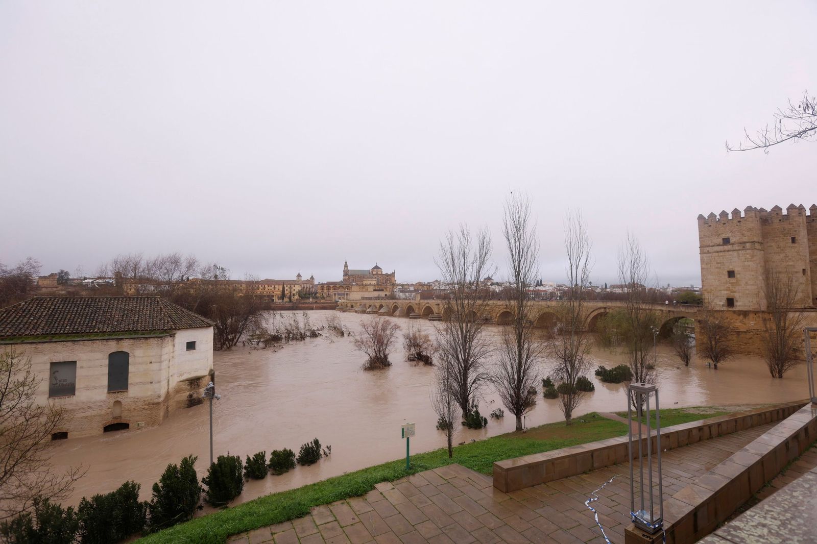 Así pasa el río Guadalquivir este lunes por Córdoba