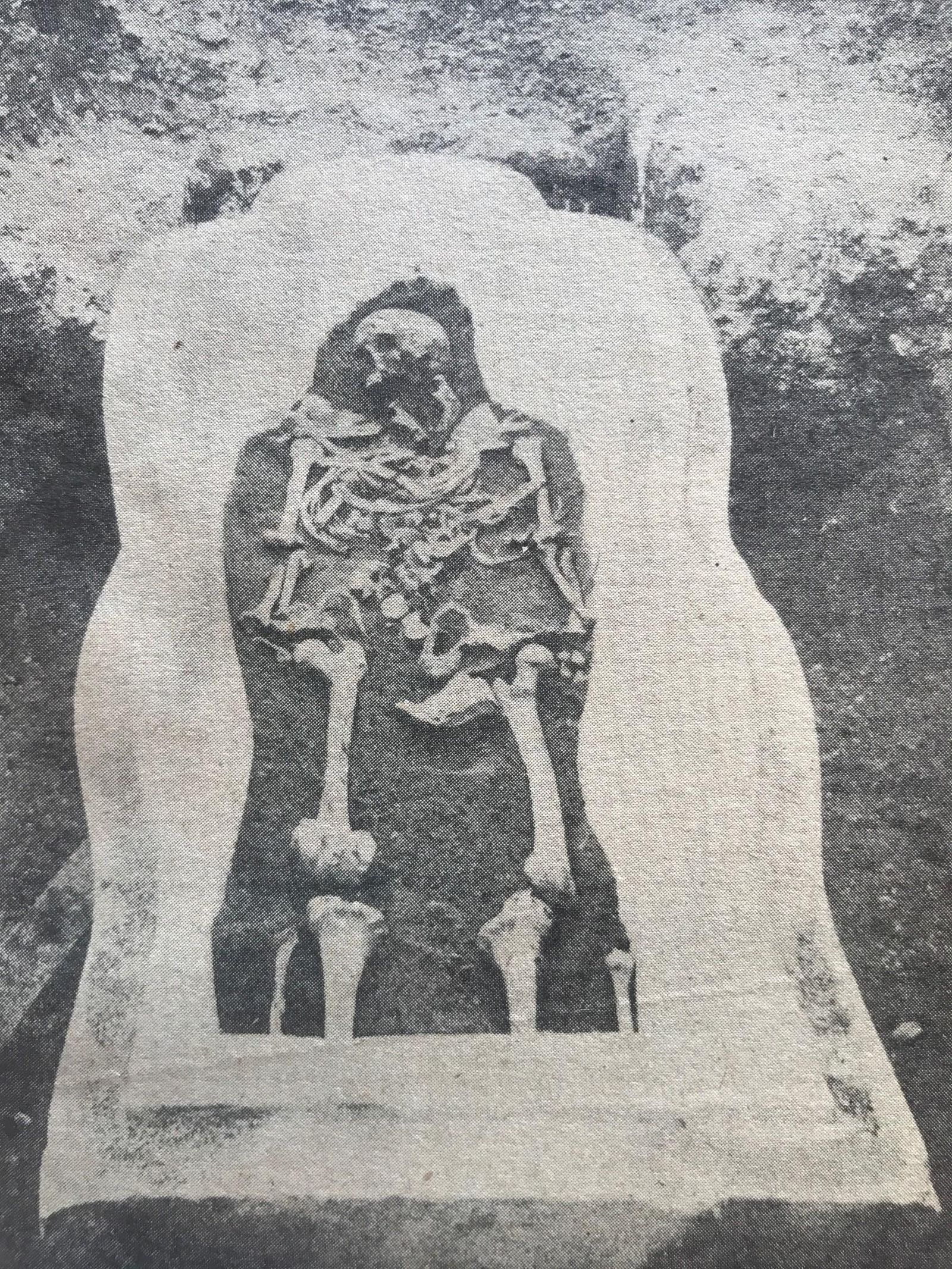 Parte de los restos encontrados junto a la Punta de la Vaca.