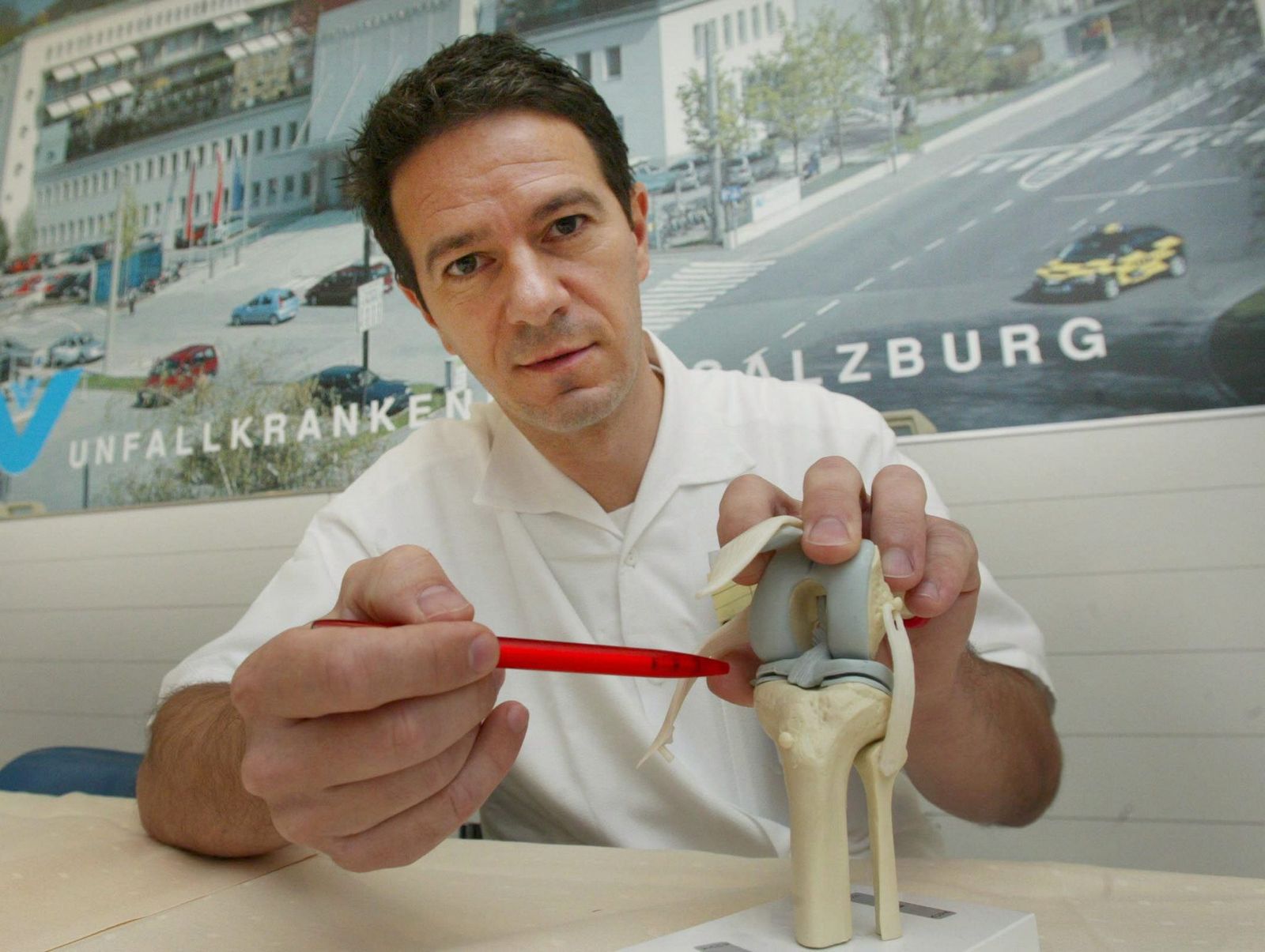 Muestra del interior de una rodilla, donde se aprecian los meniscos.