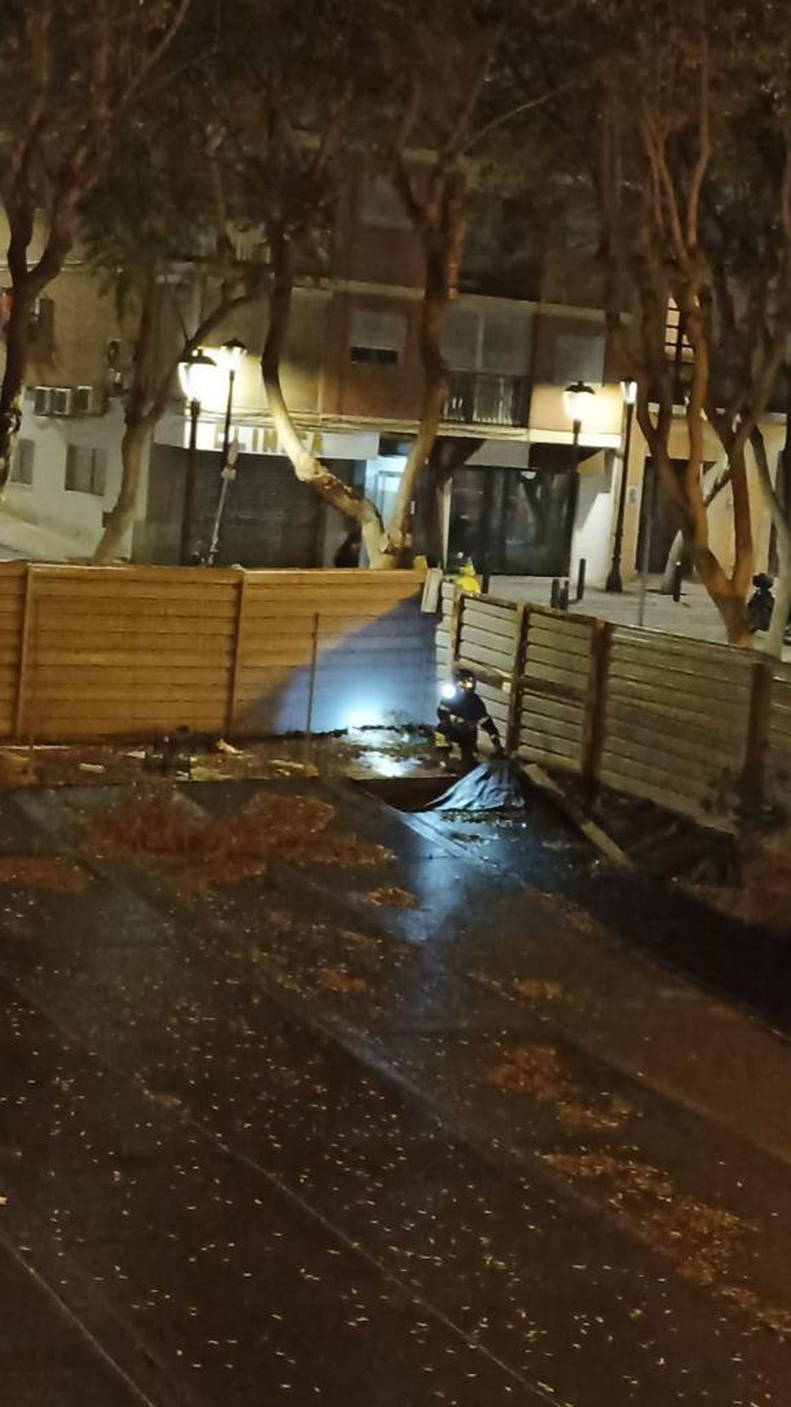 Lugar en el que se encontraba la cría de gato.