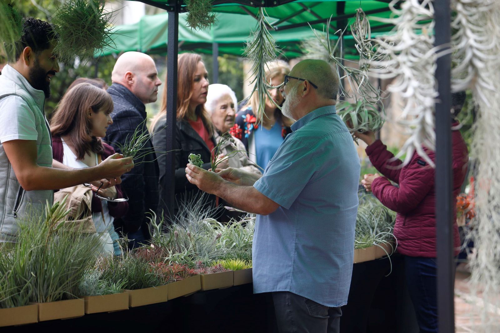 Así es la III Feria de las Orquídeas de Córdoba, en fotografías