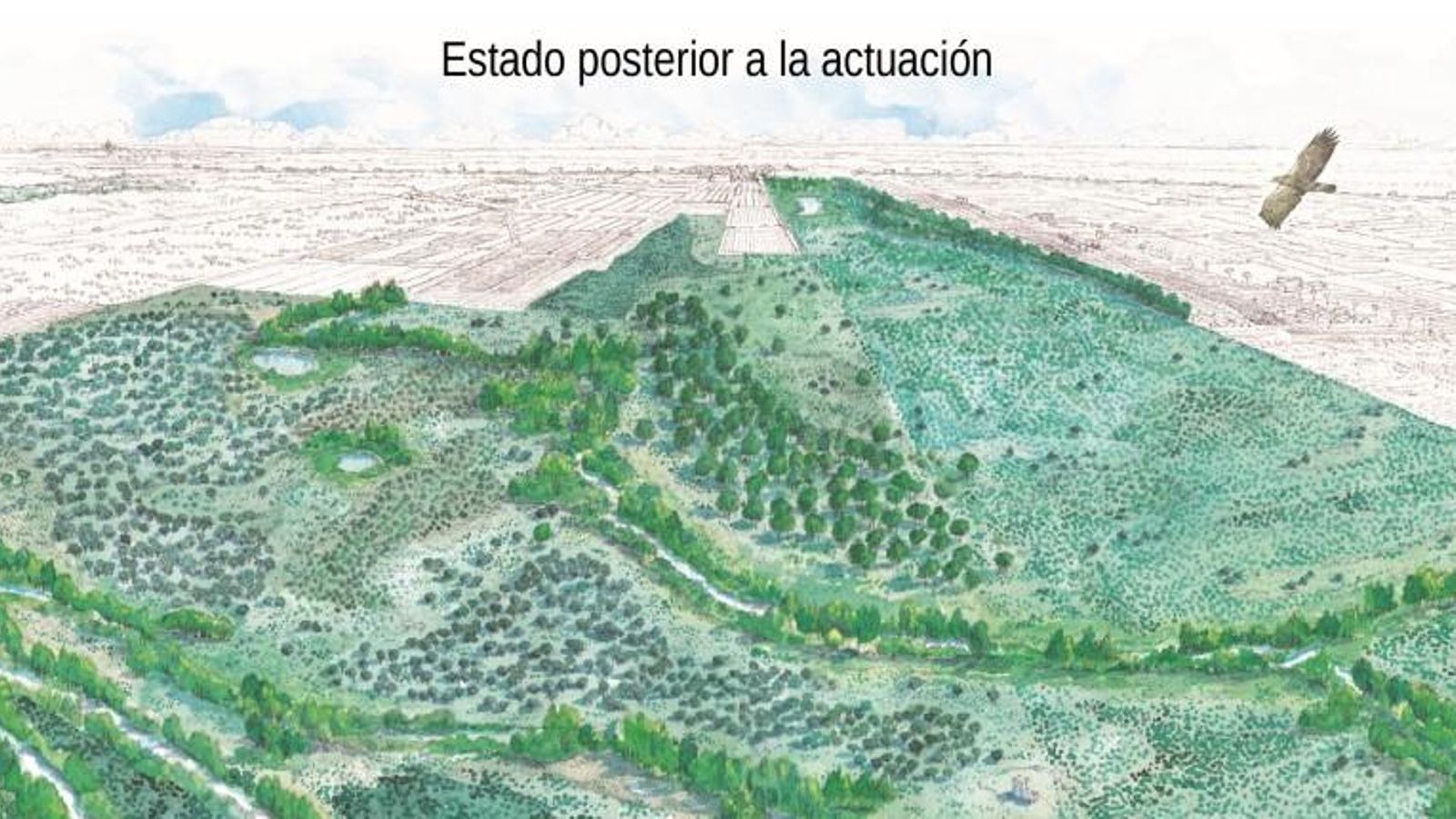 Recreación de la zona después de las actuaciones. Recreación de la zona después de las actuaciones.