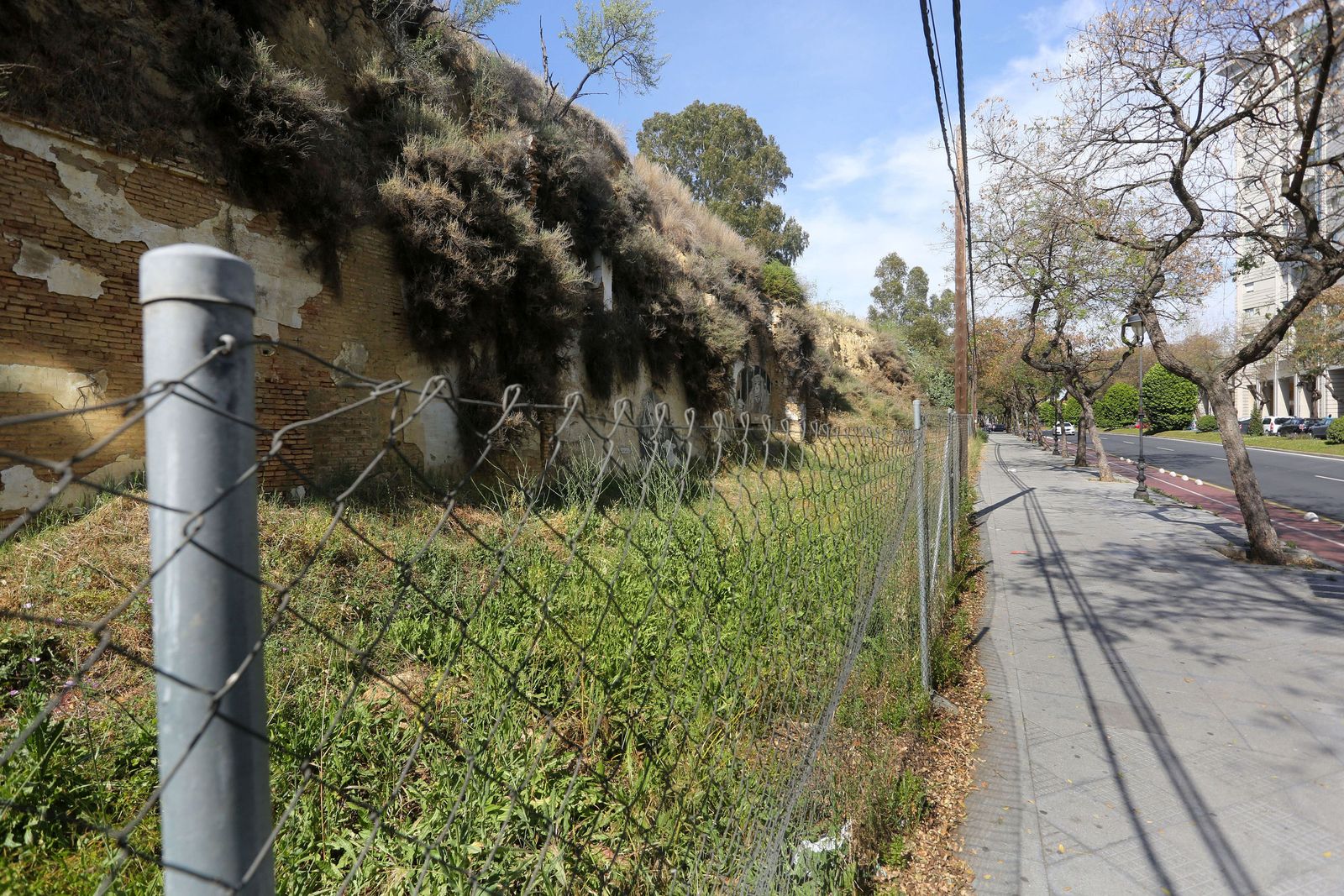 Ladera del Cabezo La Joya.