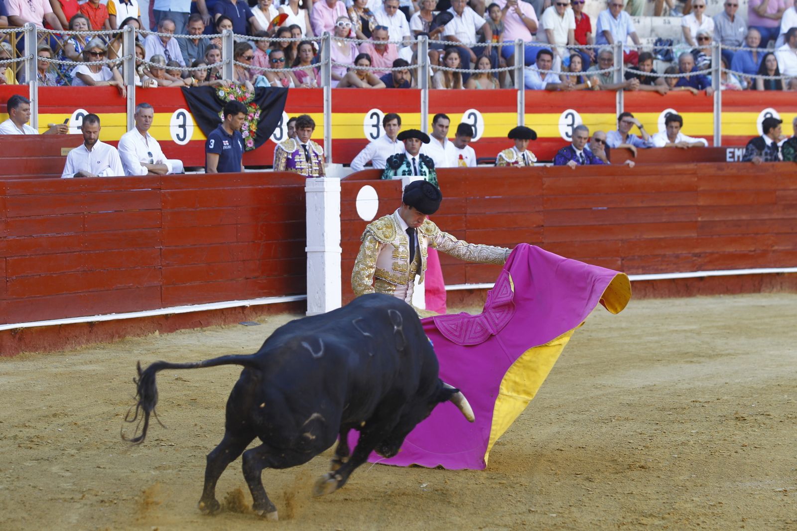 Fotogalería de la novillada de la Feria Taurina de Almería 2022