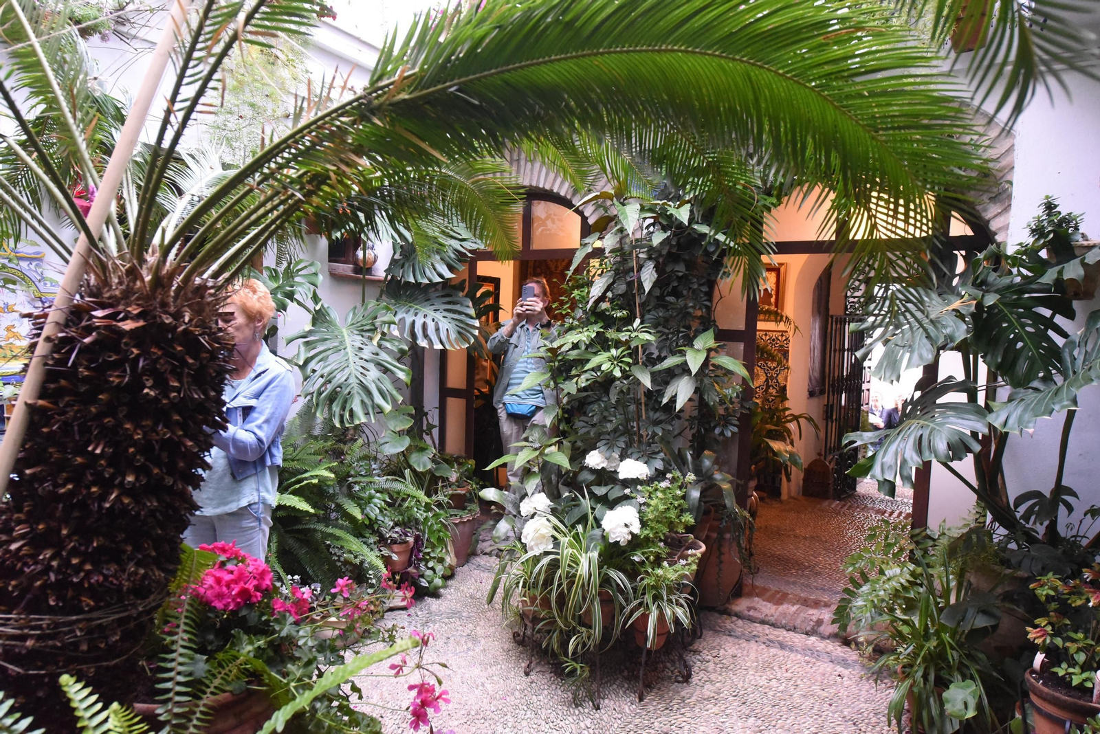 Una ruta en imágenes por los patios de la Judería y San Francisco