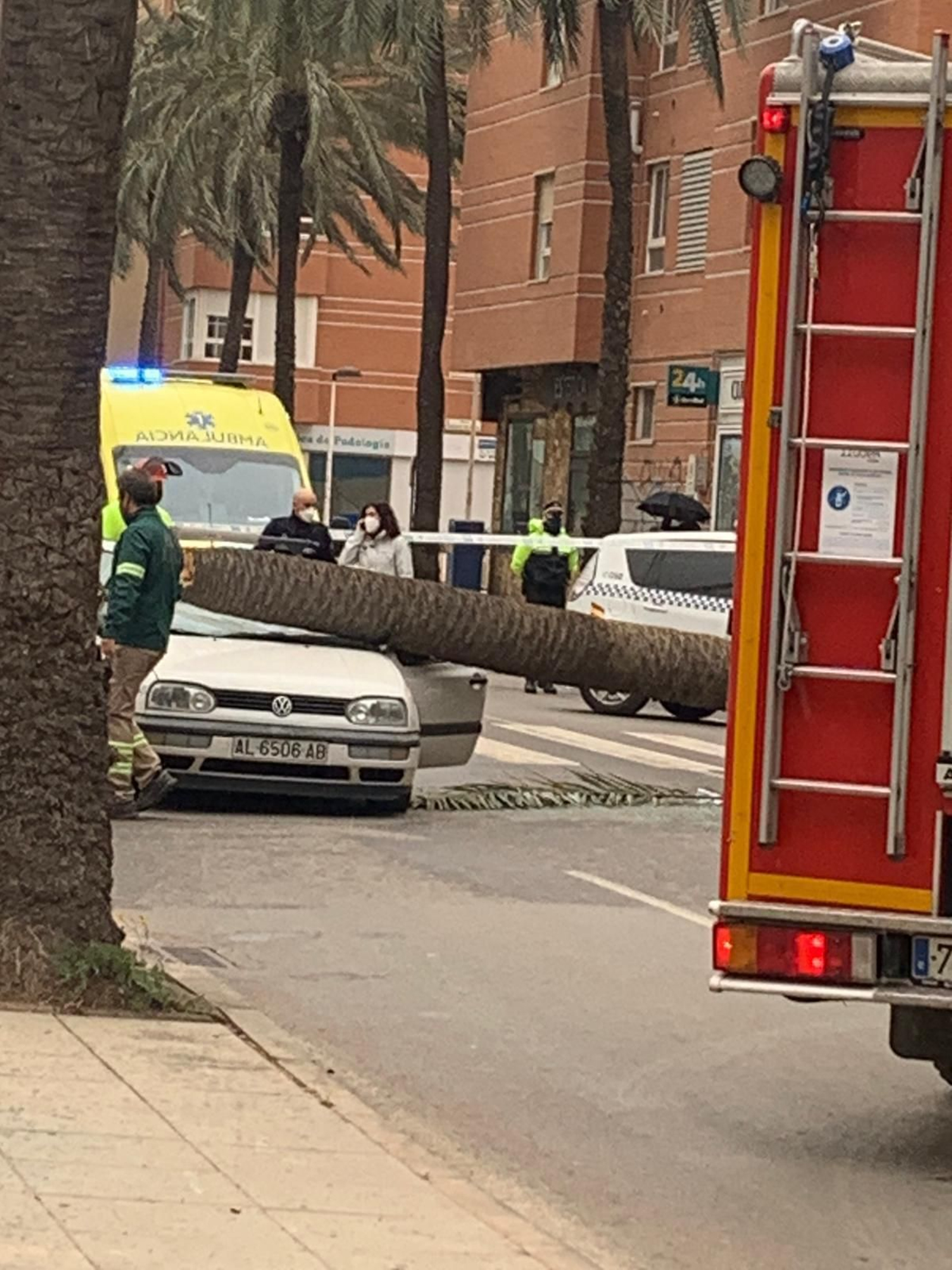 Una palmera causa un brutal accidente en Almería