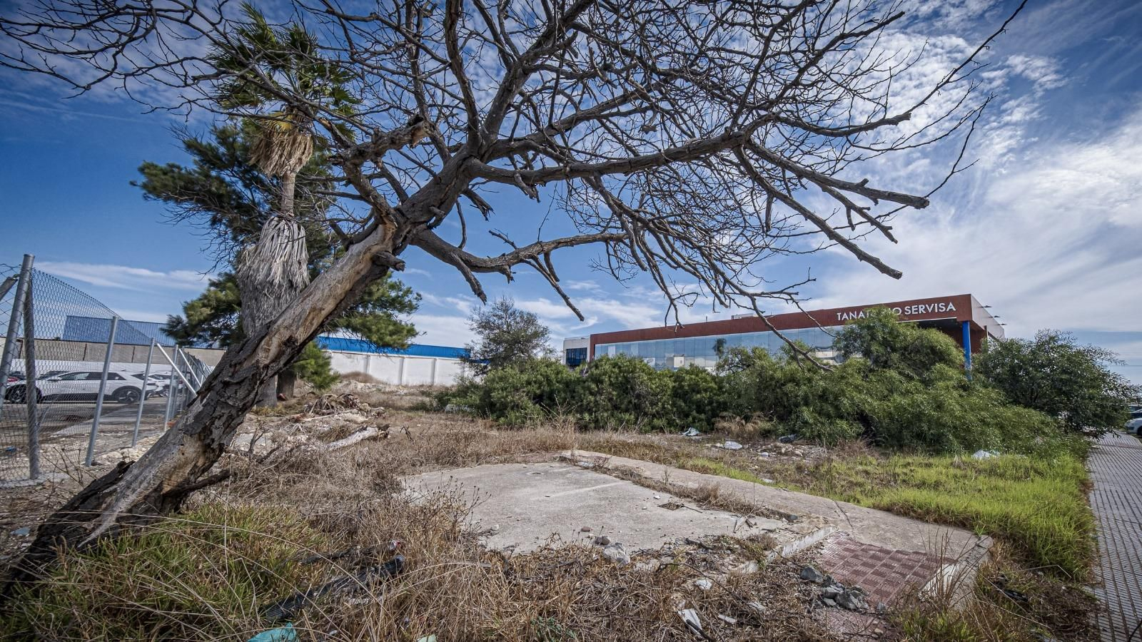 Solar municipal a donde se trasladarán los gatos de la colonia felina del cementerio.