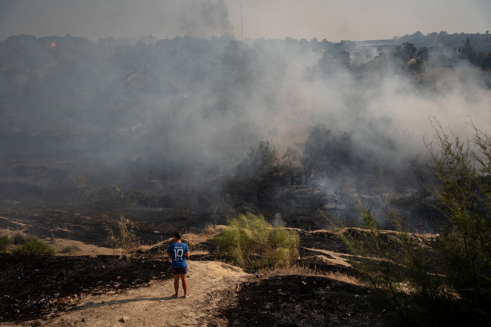 El incendio de Lucena del Puerto en imágenes
