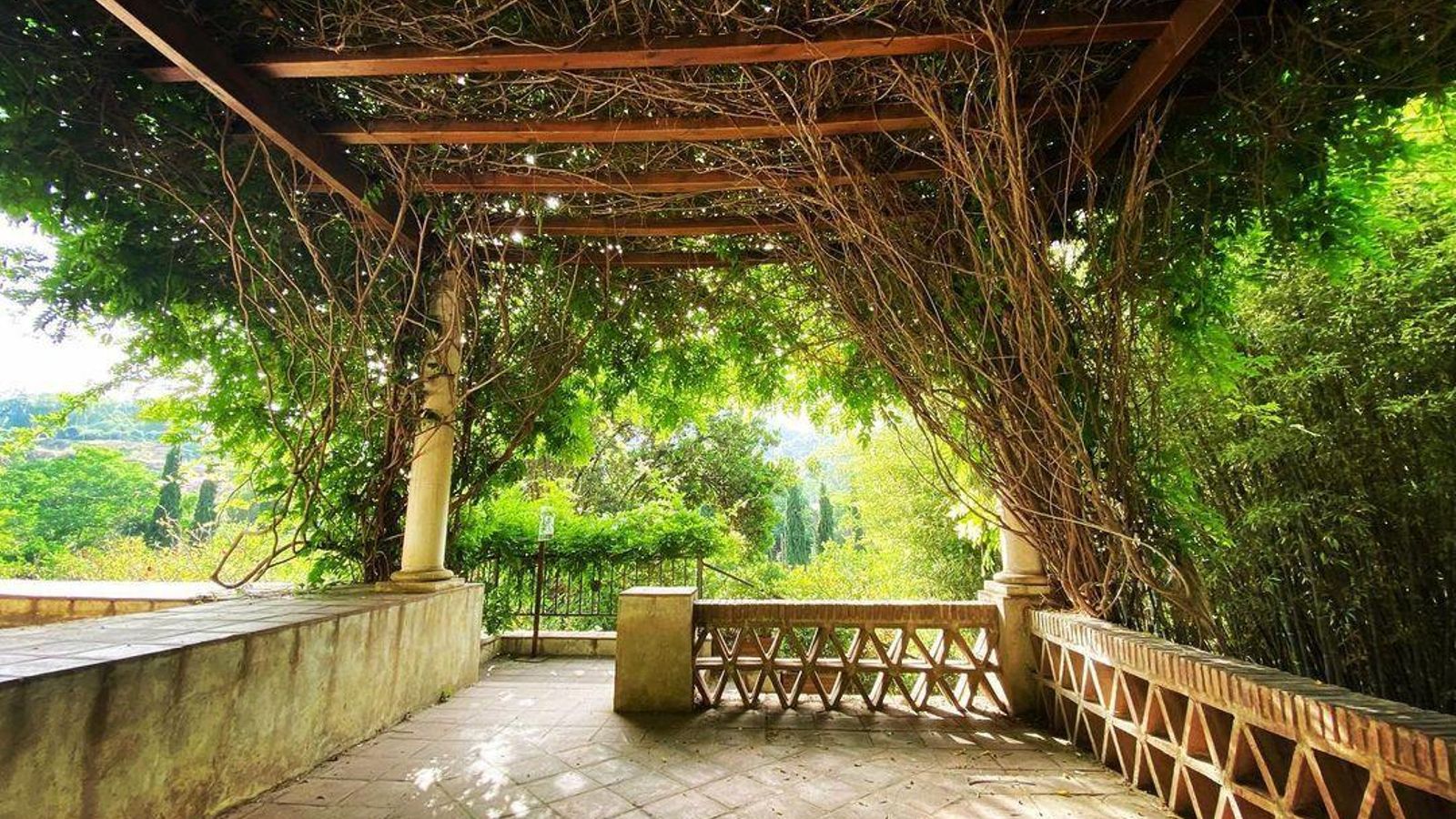 La pérgola del Jardín Botánico. La pérgola del Jardín Botánico.