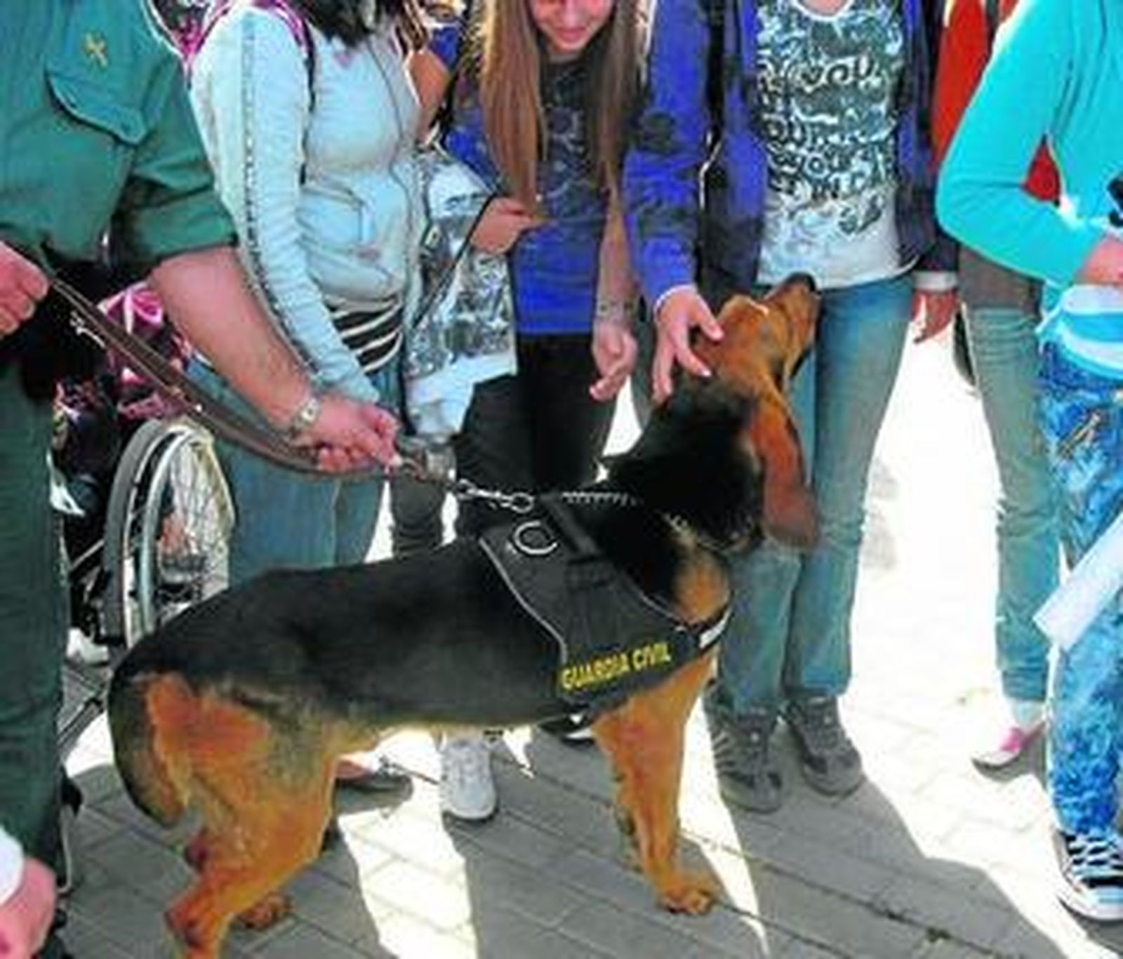 Los estudiantes acarician a uno de los perros.