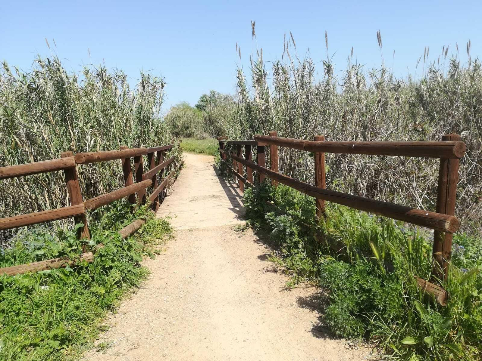 La ruta del Río Pudio por Espartinas, en imágenes