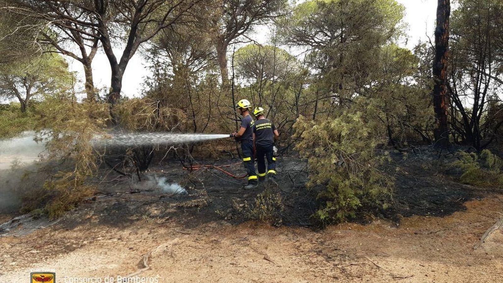 El incendio ha afectado a pasto, retamas y arbolado.