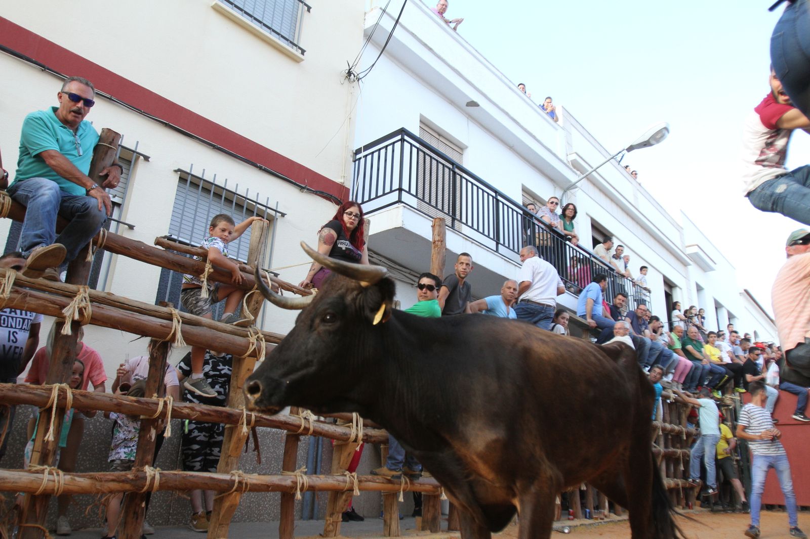 Comienzan las capeas en San Juan del Puerto