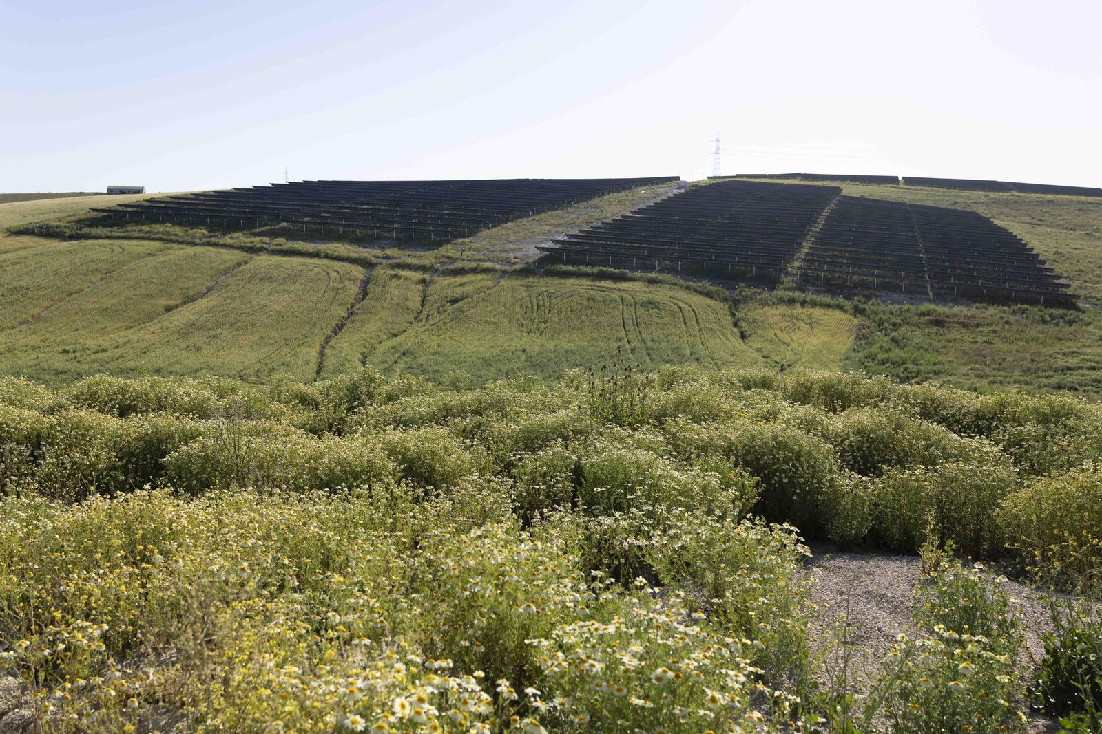 Planta solar fotovoltaica El Rancho de Statkraft, en la provincia de Cádiz.