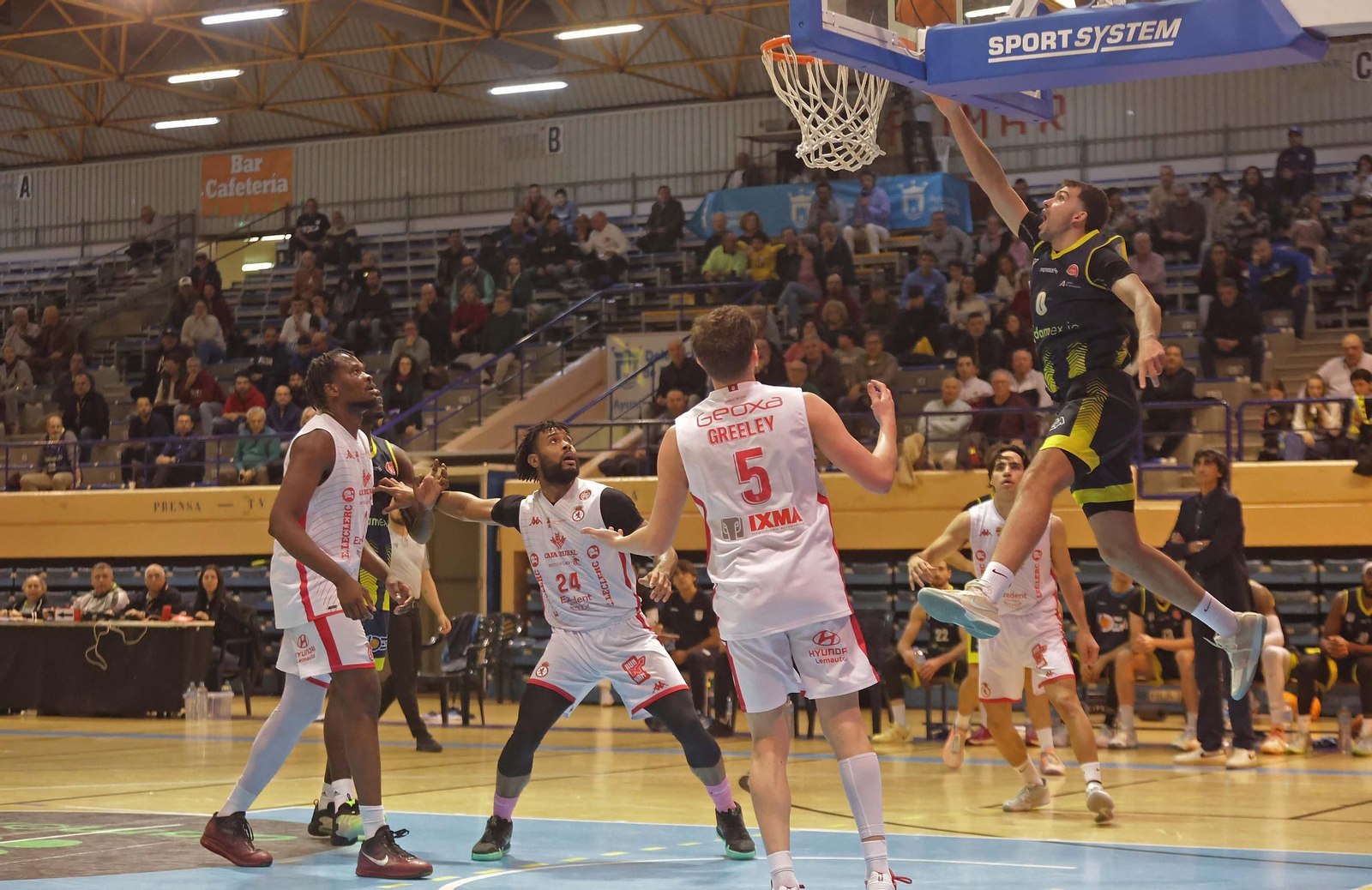 Las mejores fotos del Udea - Cultural Leonesa de Segunda FEB