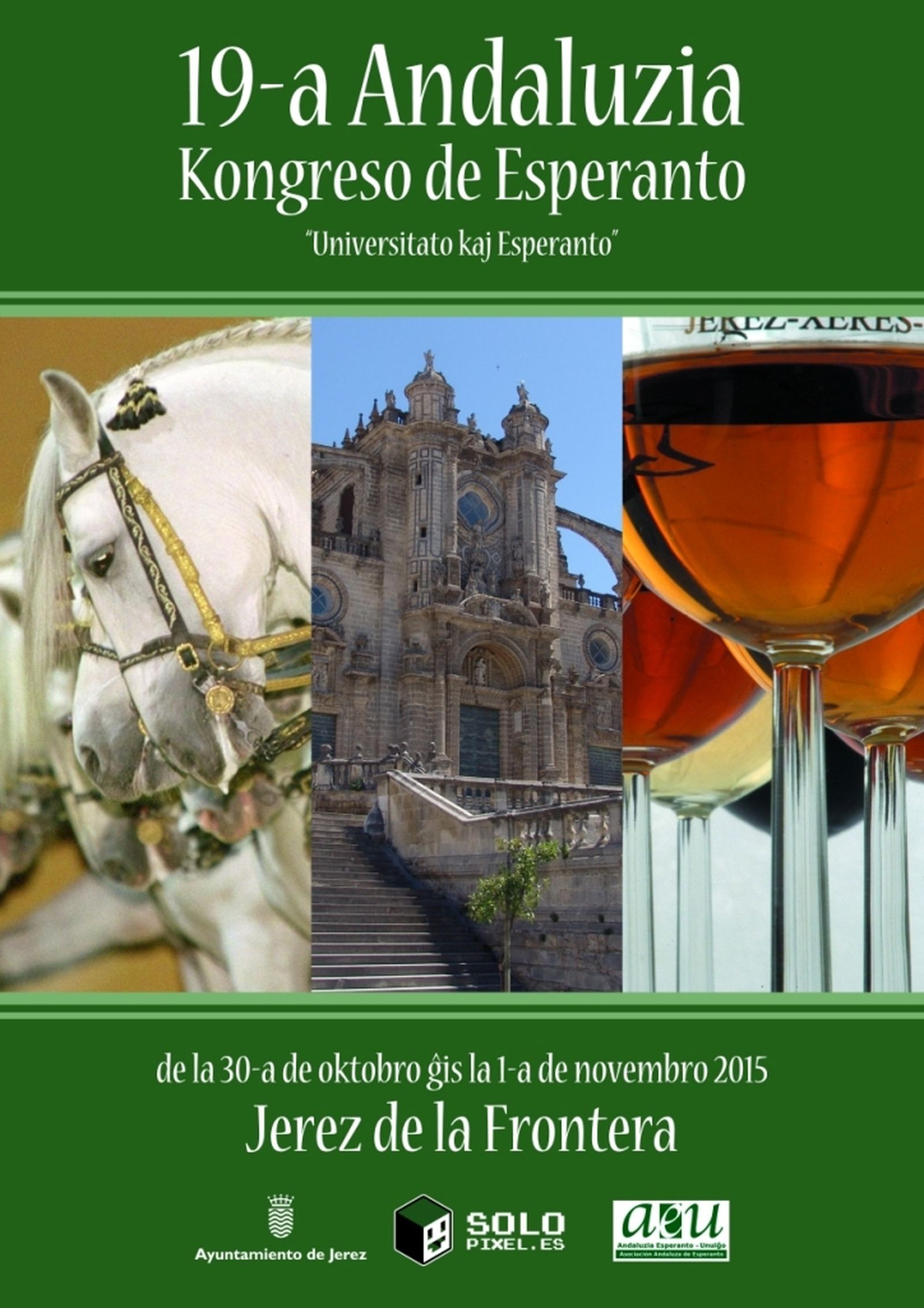 Cartel del XIX Congreso celebrado en Jerez en el 2015.