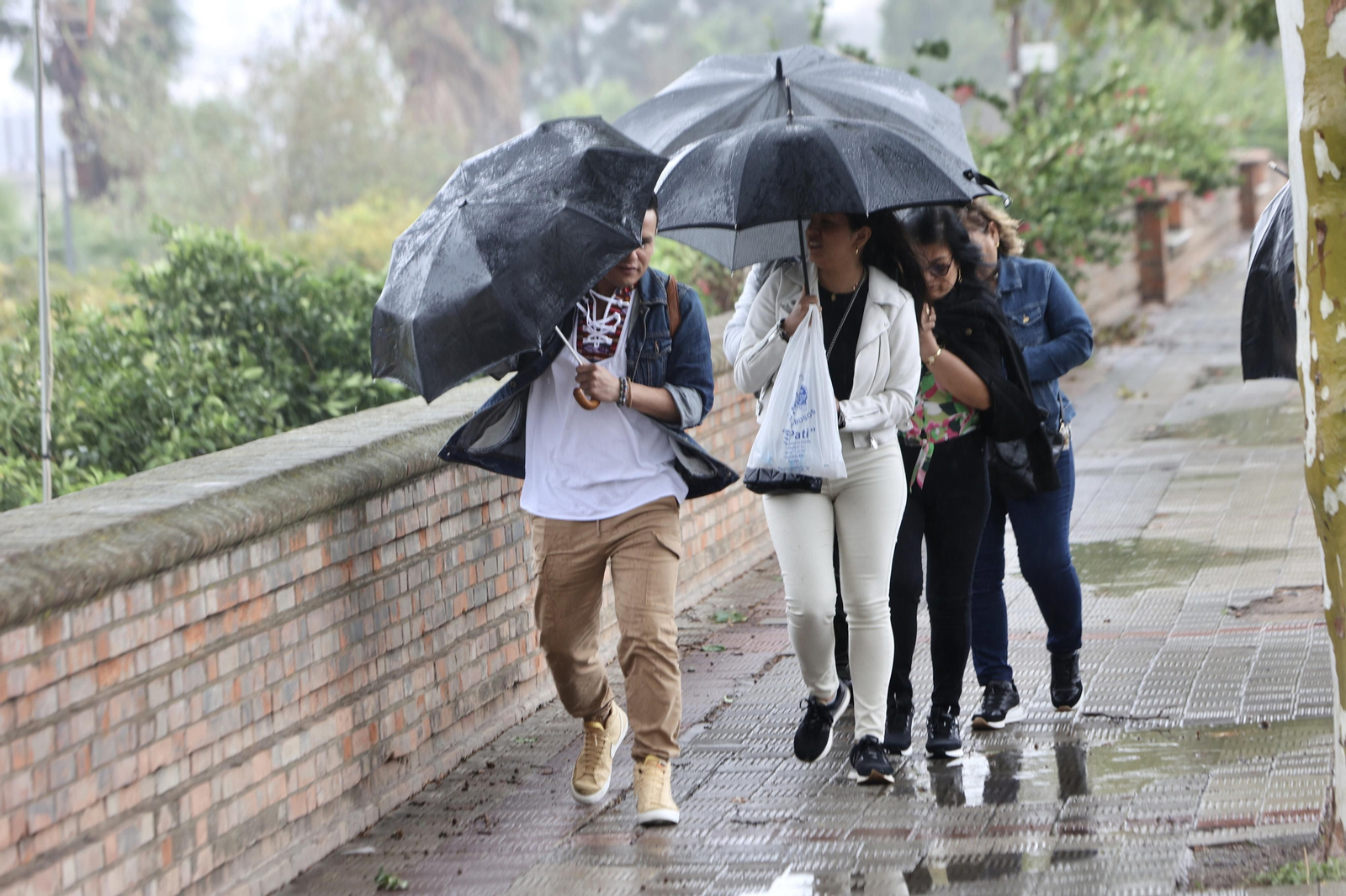 Temporal de lluvia y viento en Sevilla