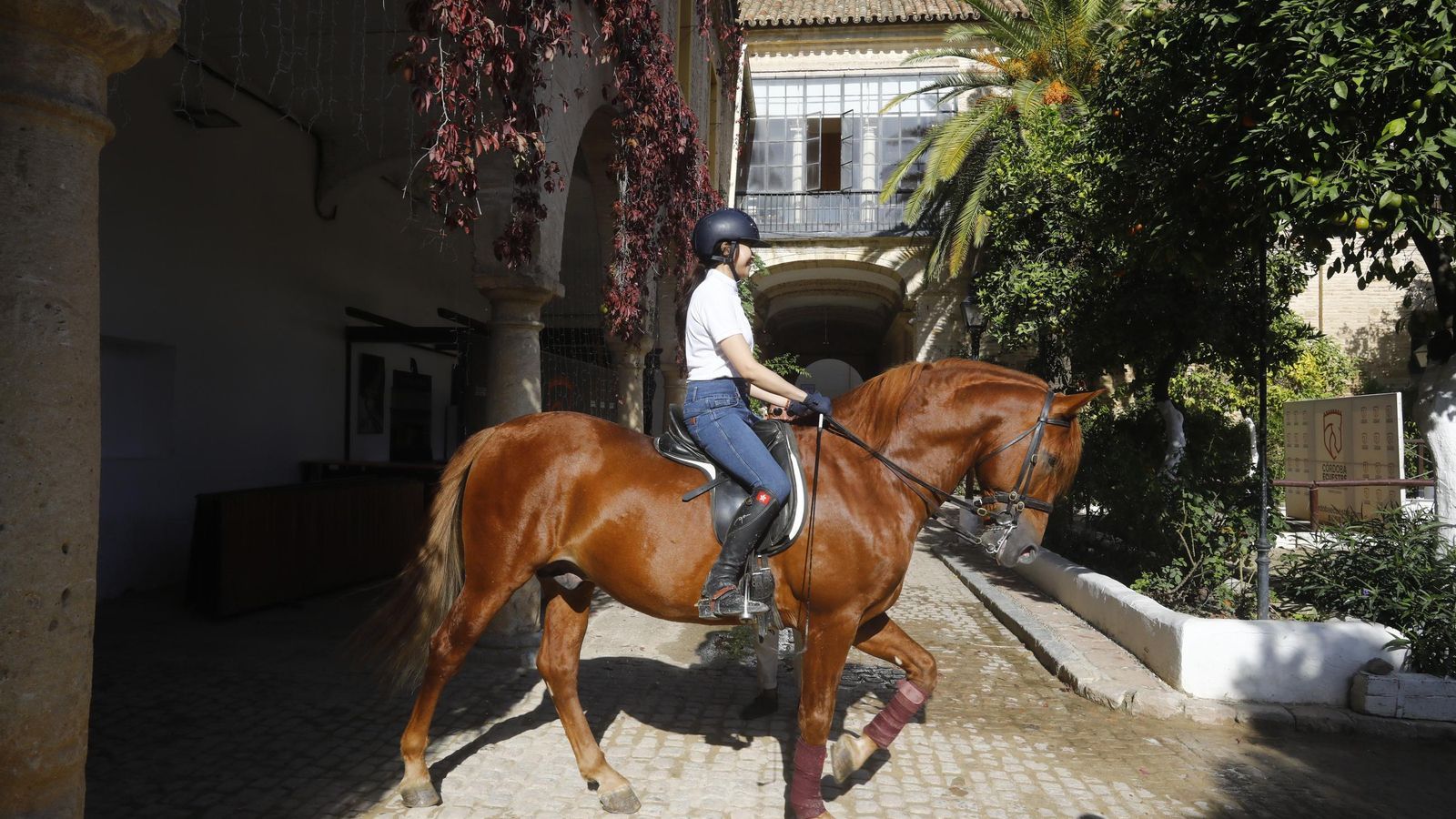 Ciudadanos de China en una clase de equitación de Córdoba ecuestre