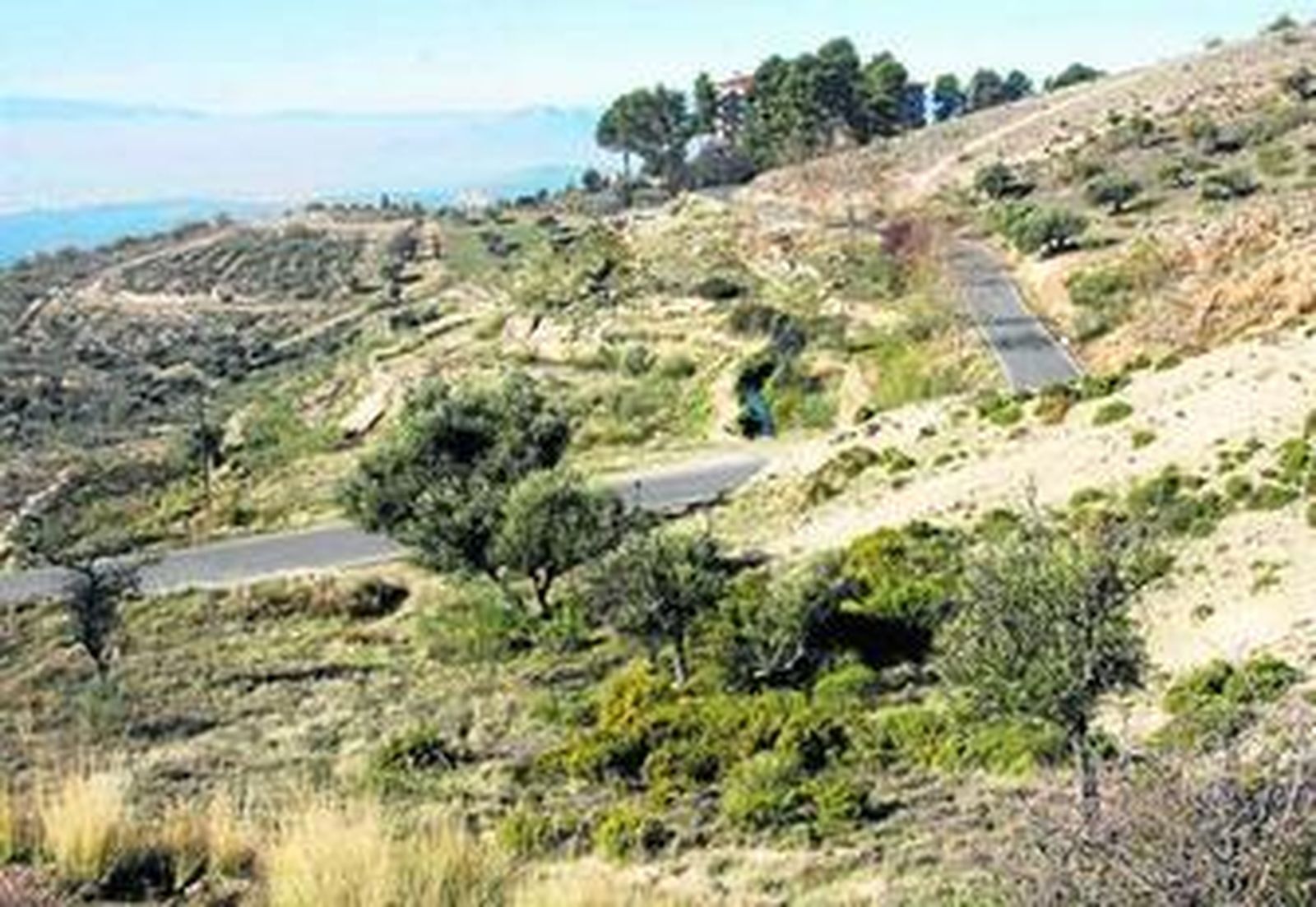 Una imagen de la zona de Alfacar donde se centra la búsqueda de García Lorca.