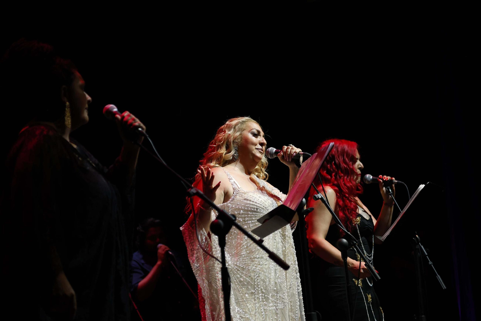 Fotos del concierto de la familia de Camarón en La Línea Flamenca