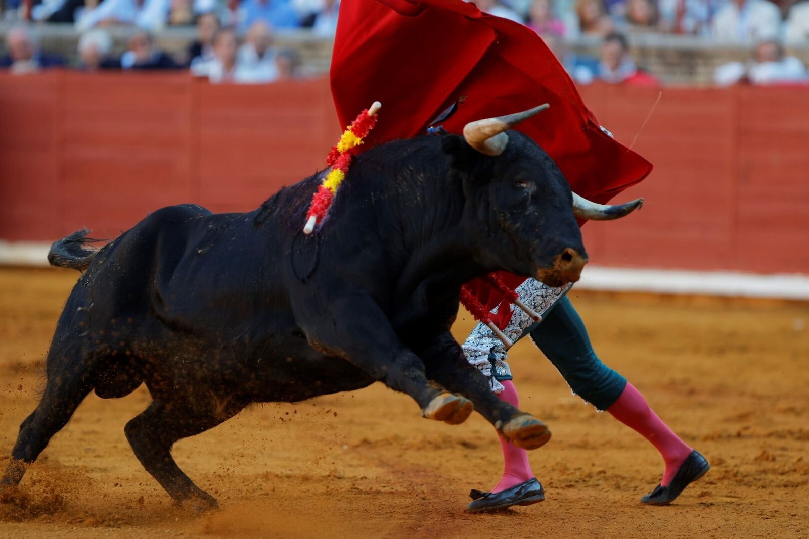 Las mejores fotos de la corrida de Morante, Ortega y Roca Rey en la Feria Taurina de Córdoba