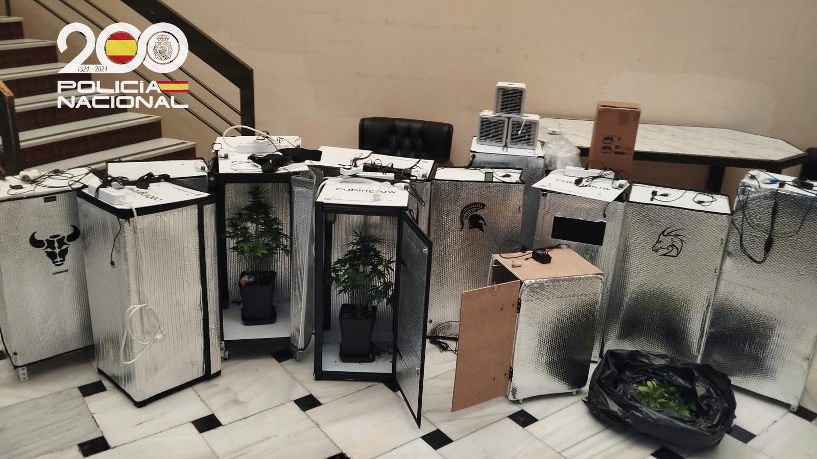 Los armarios con plantas de marihuana intervenidos en Morón.