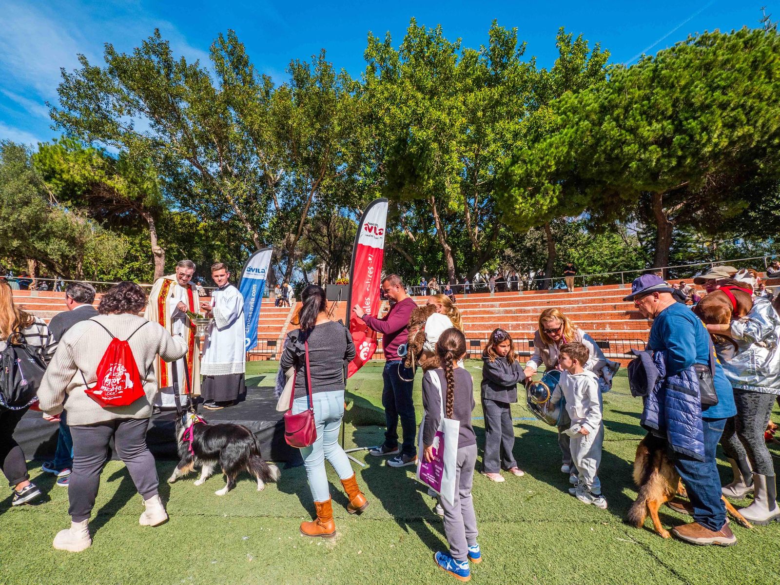 Las imágenes de San Antón 2025 en San Fernando