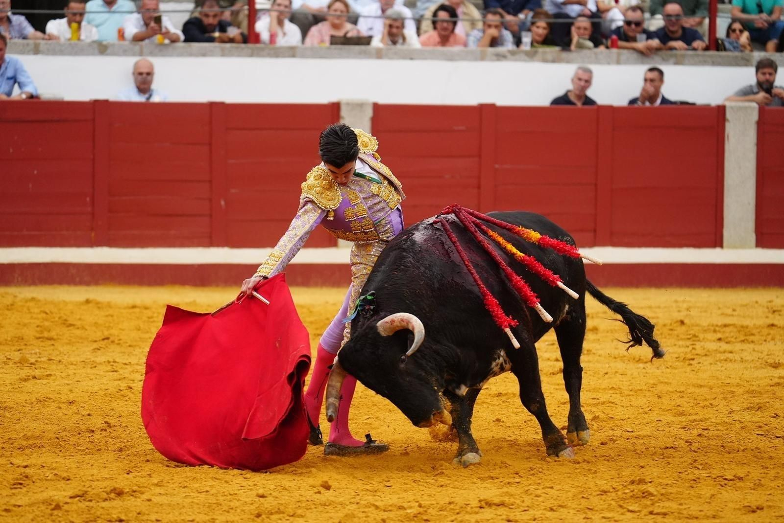 Las mejores imágenes de las corridas de toros de la Feria de Pozoblanco